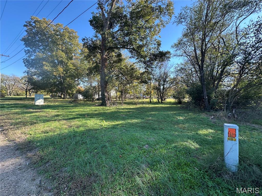 412 East Howard Street Malden, MO 63863 - Photo 11 of 29