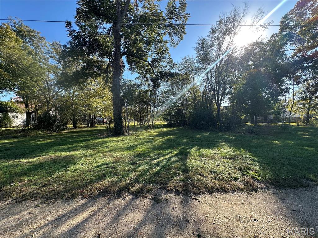 412 East Howard Street Malden, MO 63863 - Photo 9 of 29