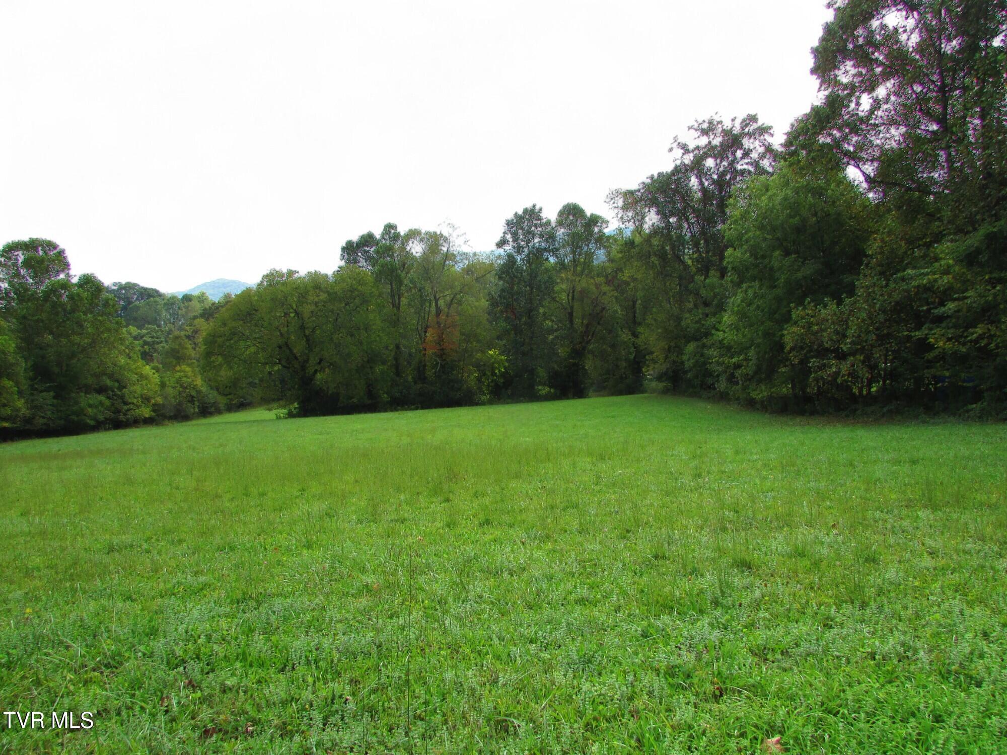 Lot 2 H Heaton Road Elizabethton, TN 37643 - Photo 1 of 7 IMG_3351
