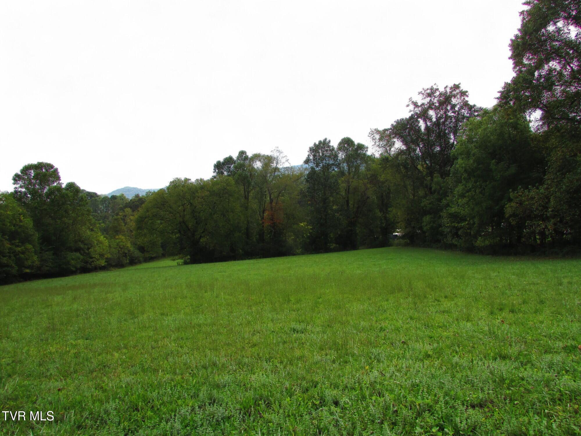 Lot 2 H Heaton Road Elizabethton, TN 37643 - Photo 2 of 7 IMG_3352