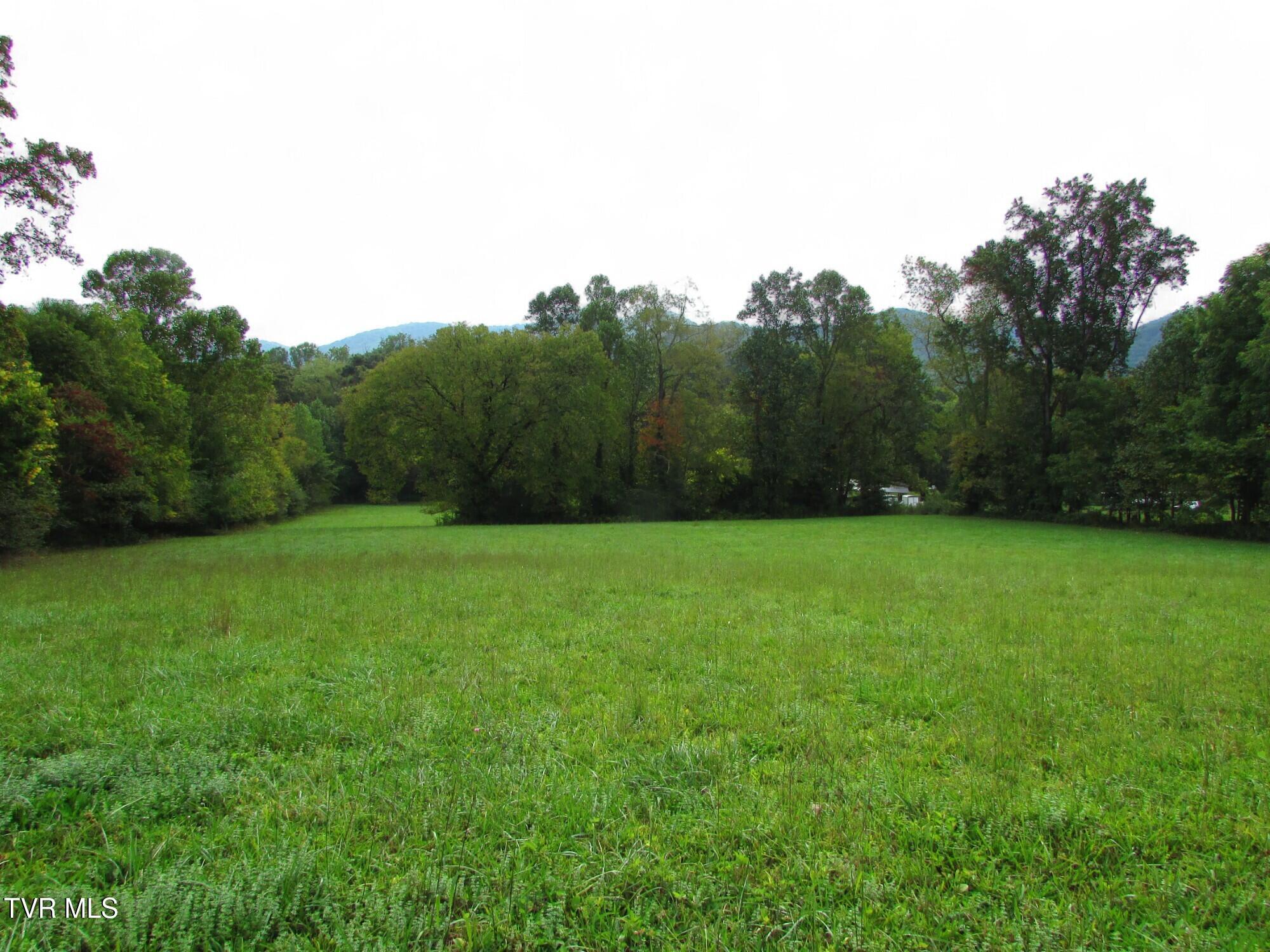 Lot 2 H Heaton Road Elizabethton, TN 37643 - Photo 3 of 7 IMG_3354