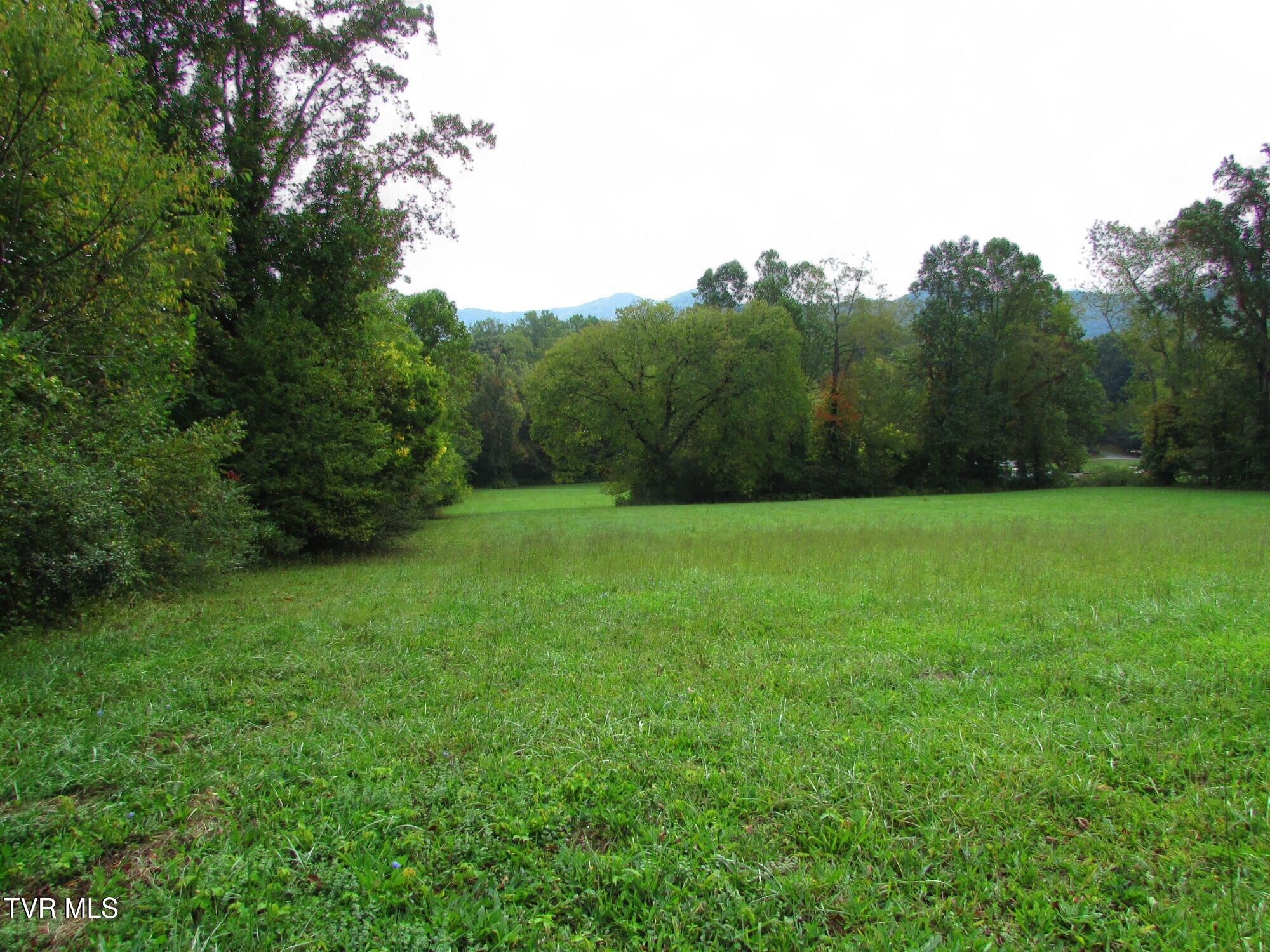 Lot 2 H Heaton Road Elizabethton, TN 37643 - Photo 4 of 7 IMG_3356