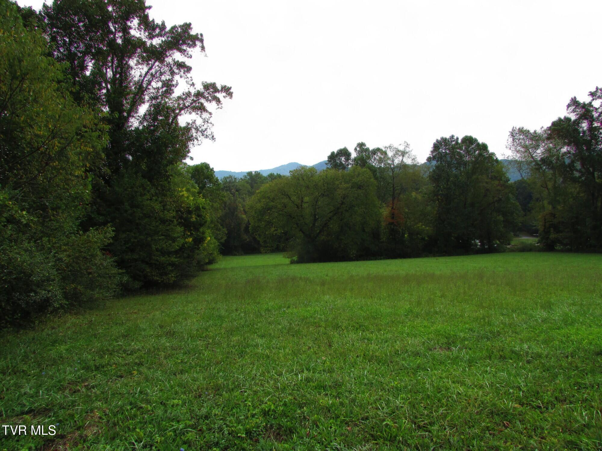 Lot 2 H Heaton Road Elizabethton, TN 37643 - Photo 5 of 7 IMG_3358