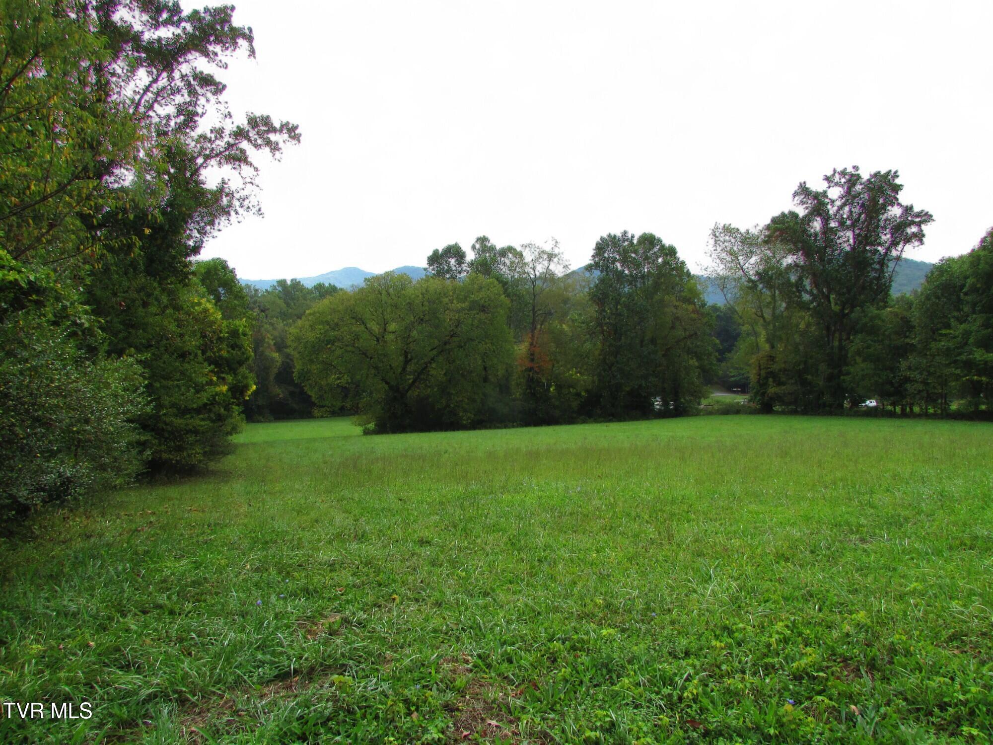 Lot 2 H Heaton Road Elizabethton, TN 37643 - Photo 6 of 7 IMG_3359