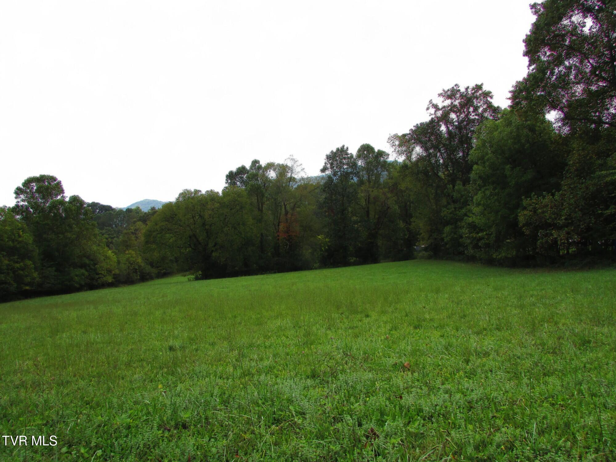 Lot 2 H Heaton Road Elizabethton, TN 37643 - Photo 7 of 7 IMG_3361