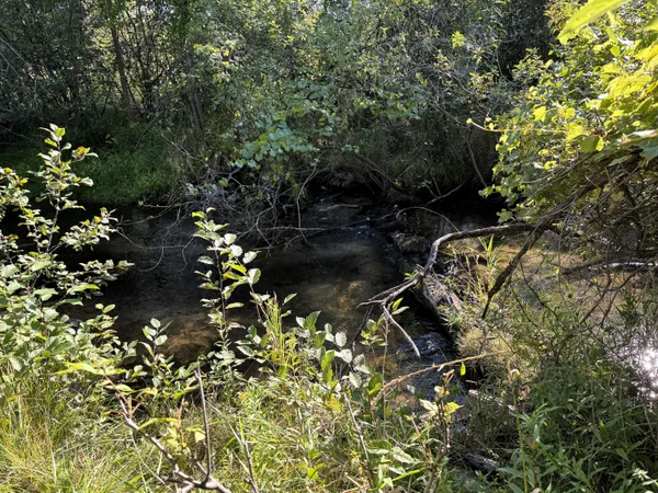 $259,900 | 125 North Cedar Street, Evart, MI 49631