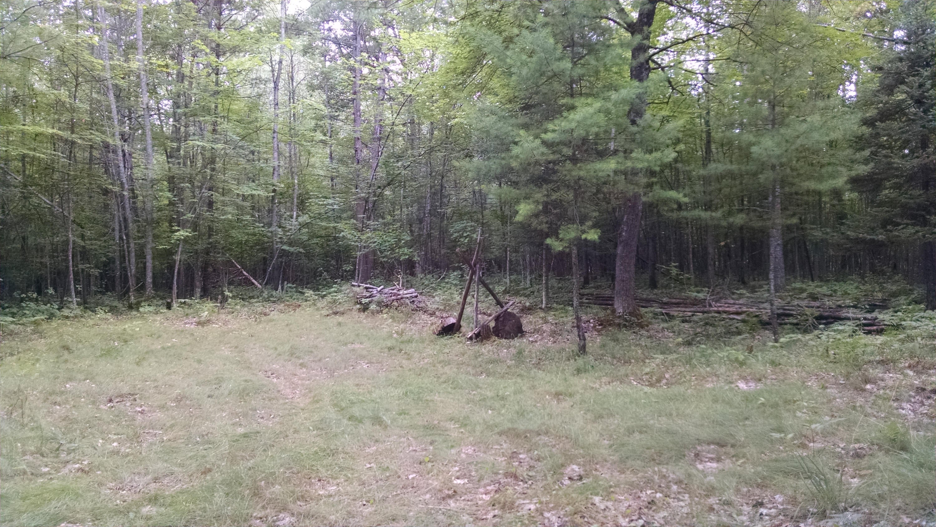 8442 Rough Road Atlanta, MI 49709 - Photo 9 of 18 Gallery Image 9