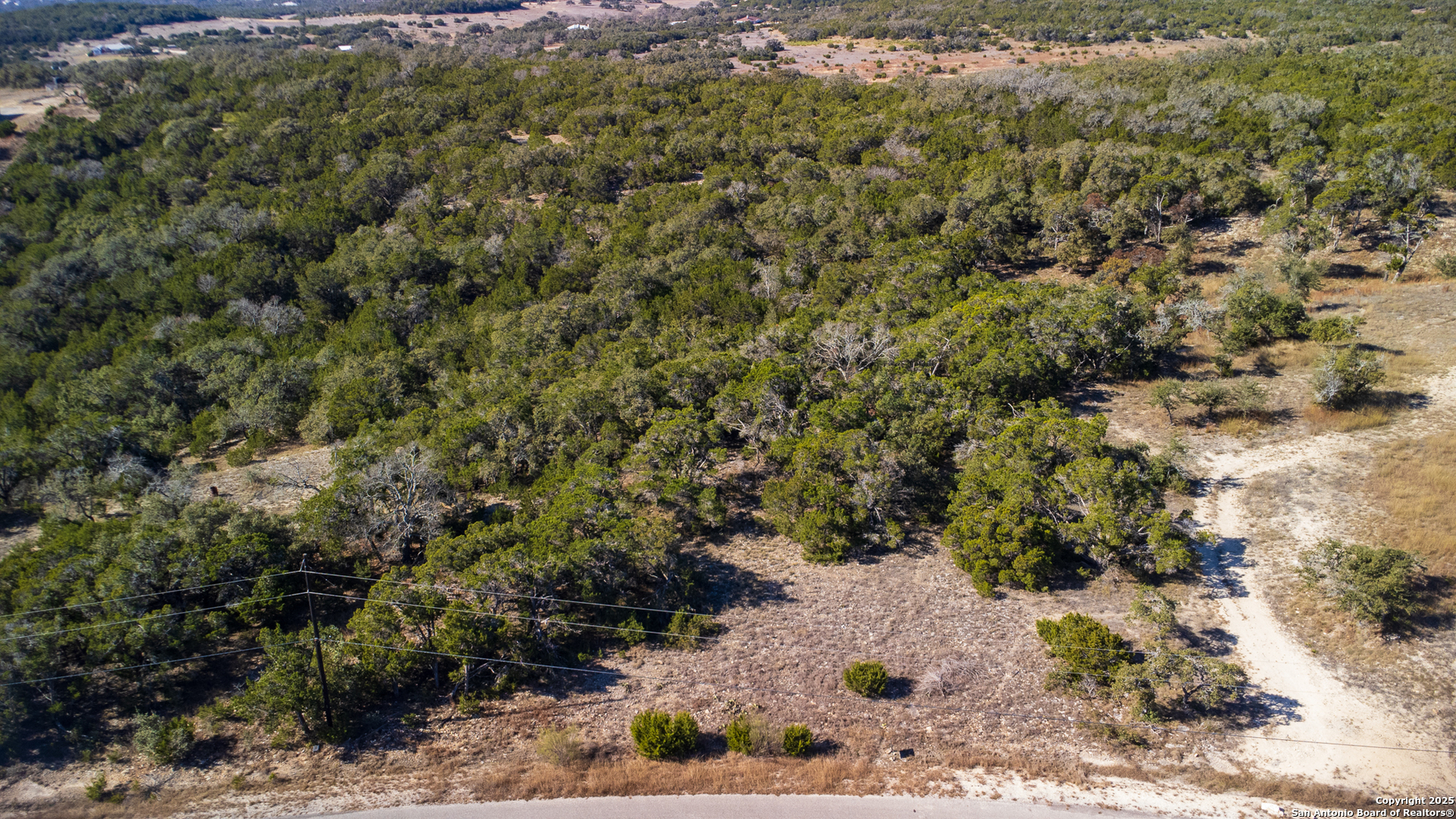 1250 Primrose Path Spring Branch, TX 78070 - Photo 12 of 14 a view of a yard with a tree