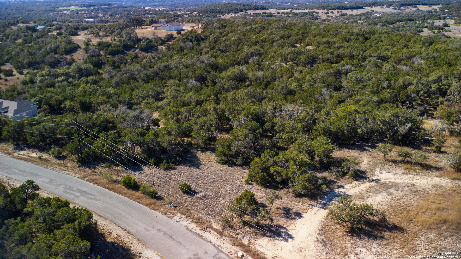 1250 Primrose Path Spring Branch, TX 78070 - Photo 14 of 14 a view of a yard with a tree