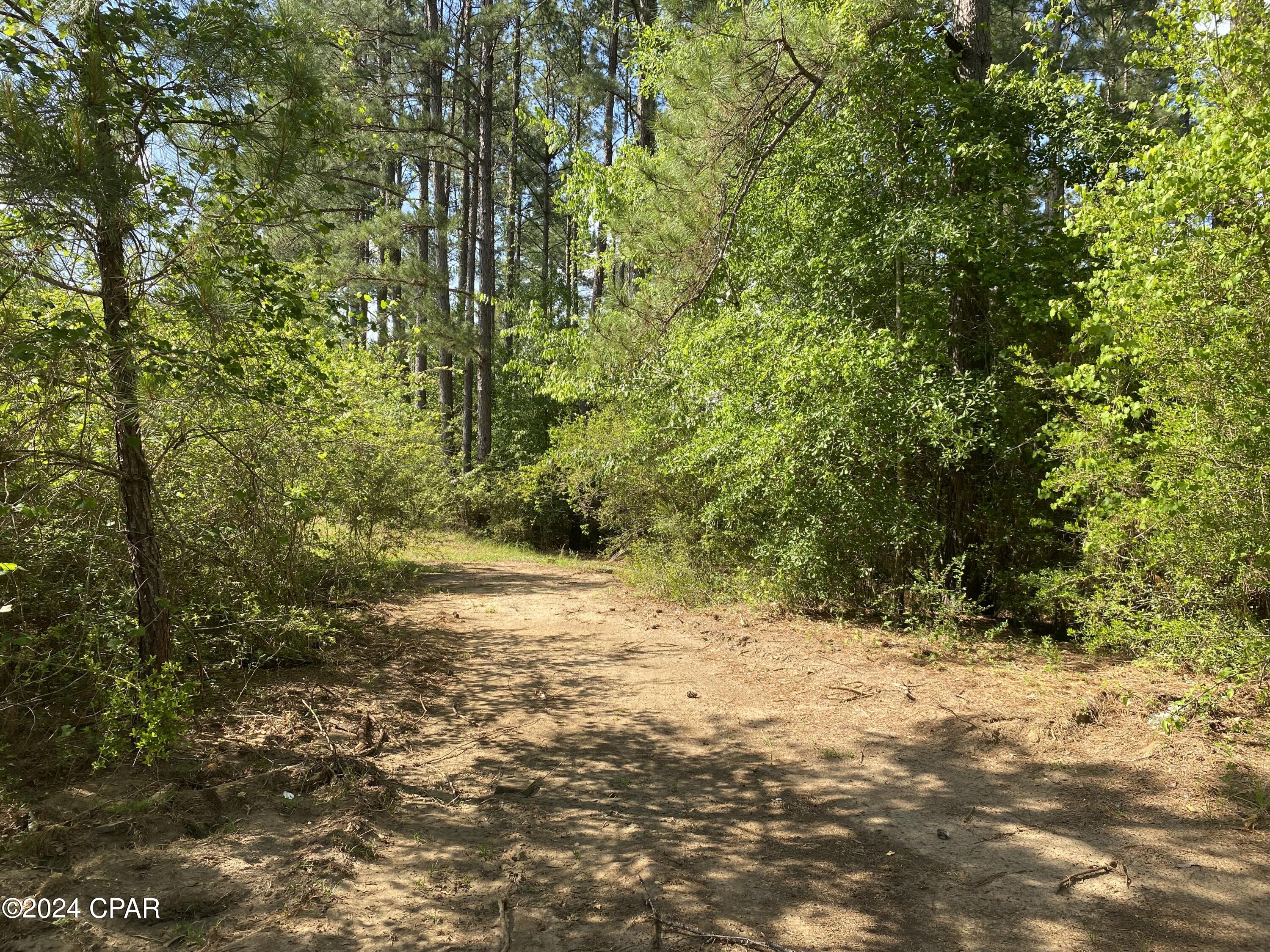 1043 McDonald Road Bonifay, FL 32425 - Photo 20 of 39 Gallery Image 20
