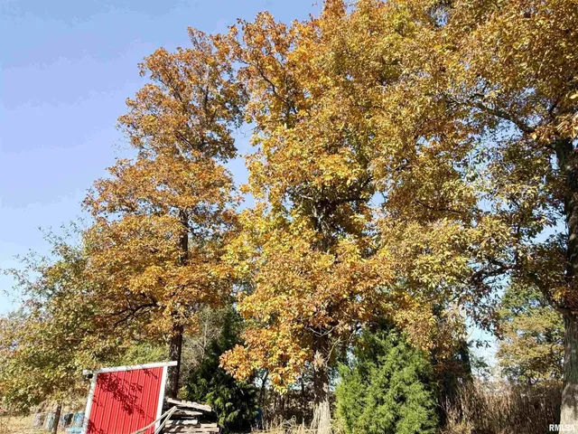 $105,000 | 90 Wheather Drive, Xenia, IL 62899