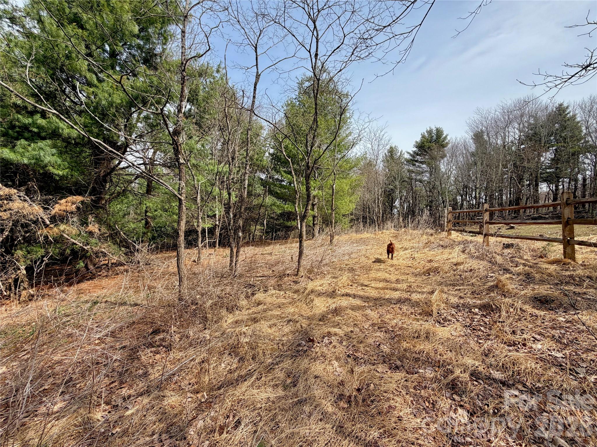 Tbd Grandview Drive, Unit TRACT A Boone, NC 28607 - Photo 19 of 45