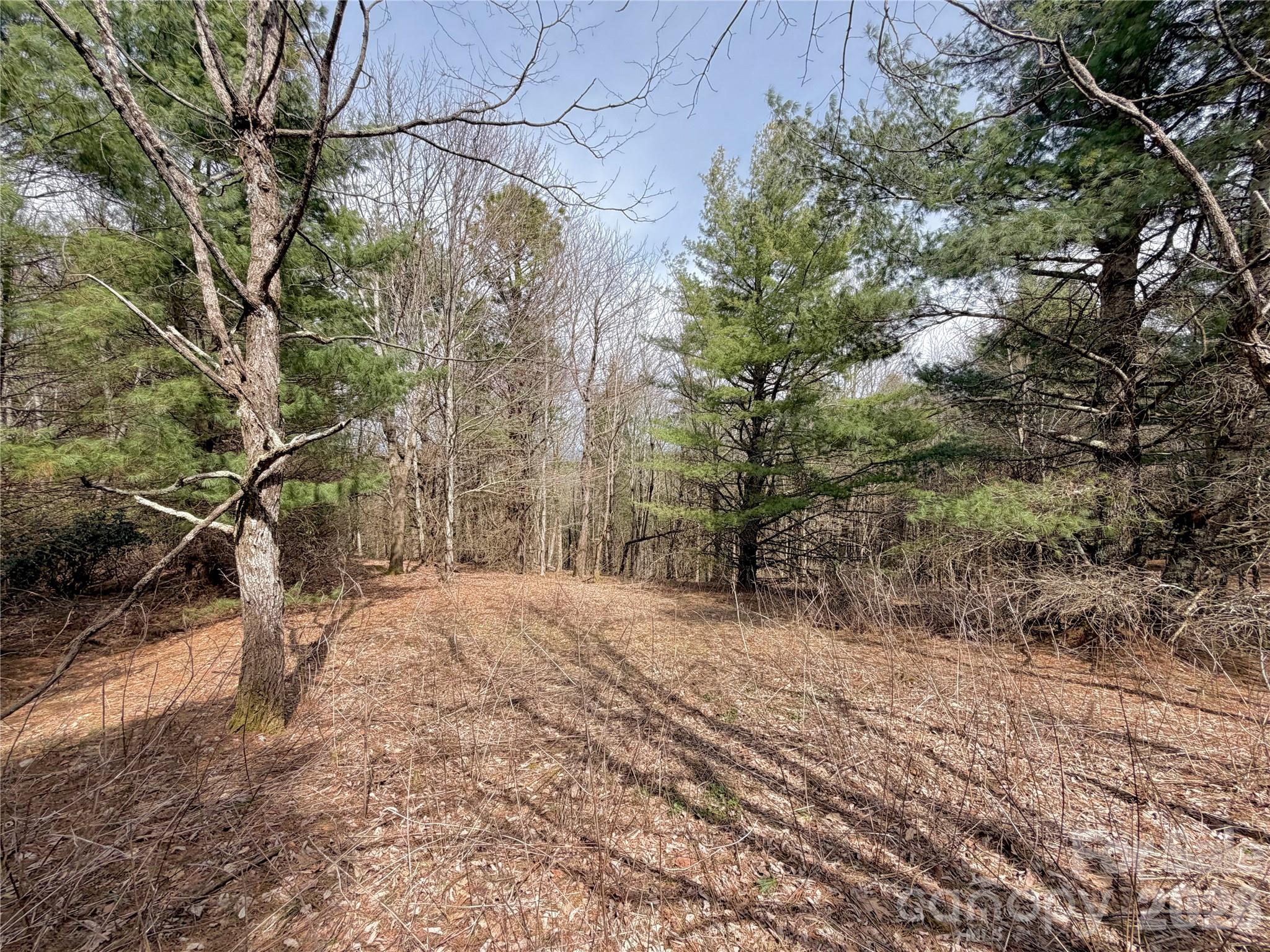 Tbd Grandview Drive, Unit TRACT A Boone, NC 28607 - Photo 20 of 45