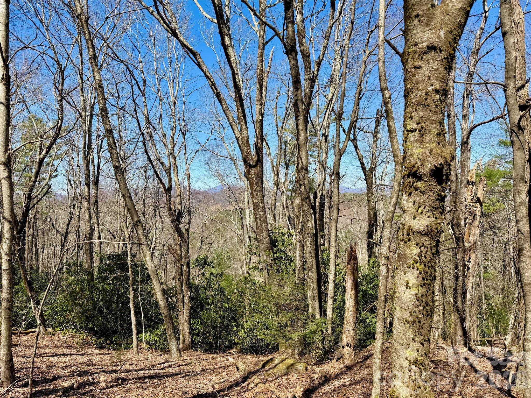 Tbd Grandview Drive, Unit TRACT A Boone, NC 28607 - Photo 2 of 44