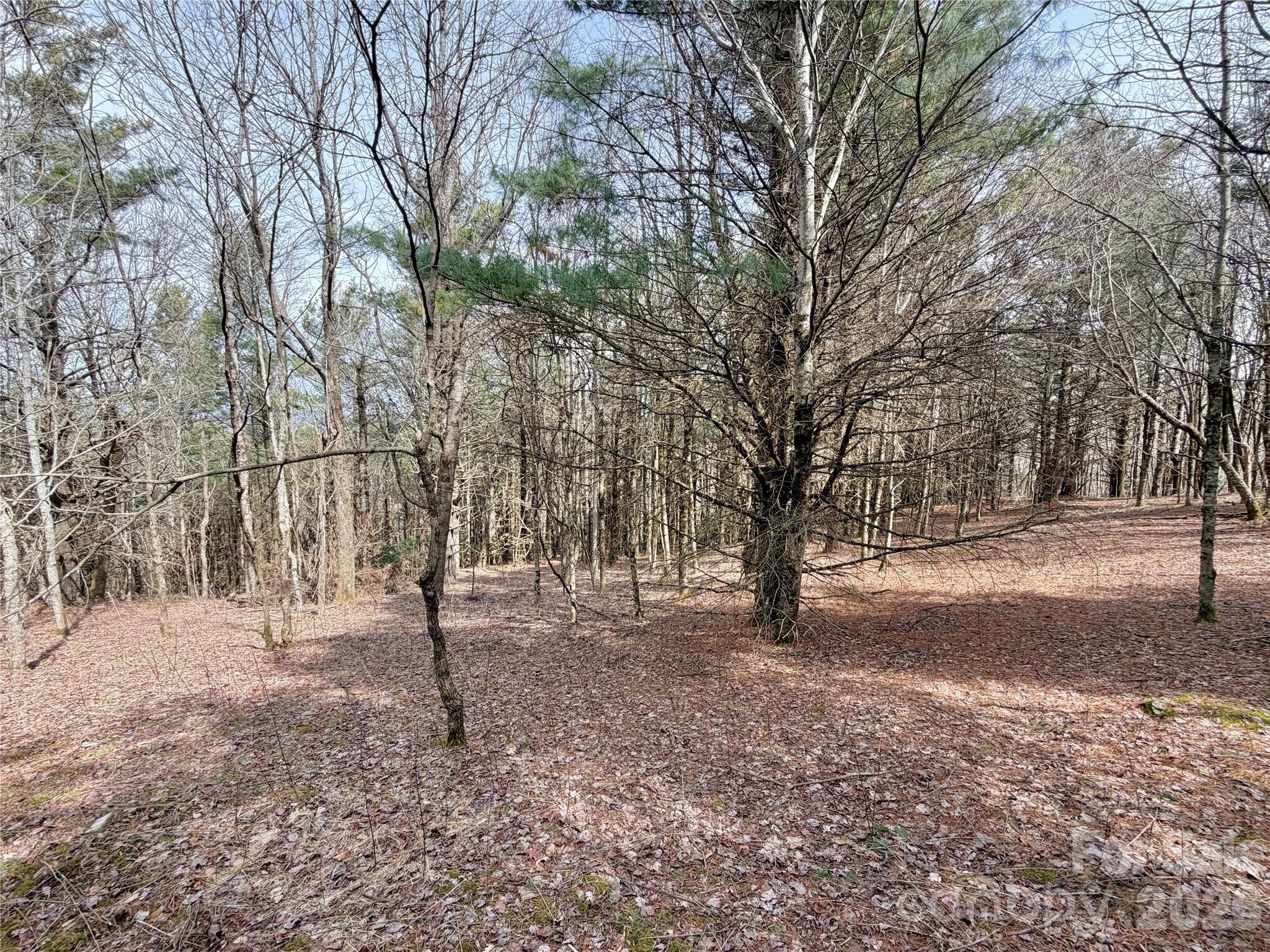 Tbd Grandview Drive, Unit TRACT A Boone, NC 28607 - Photo 21 of 45