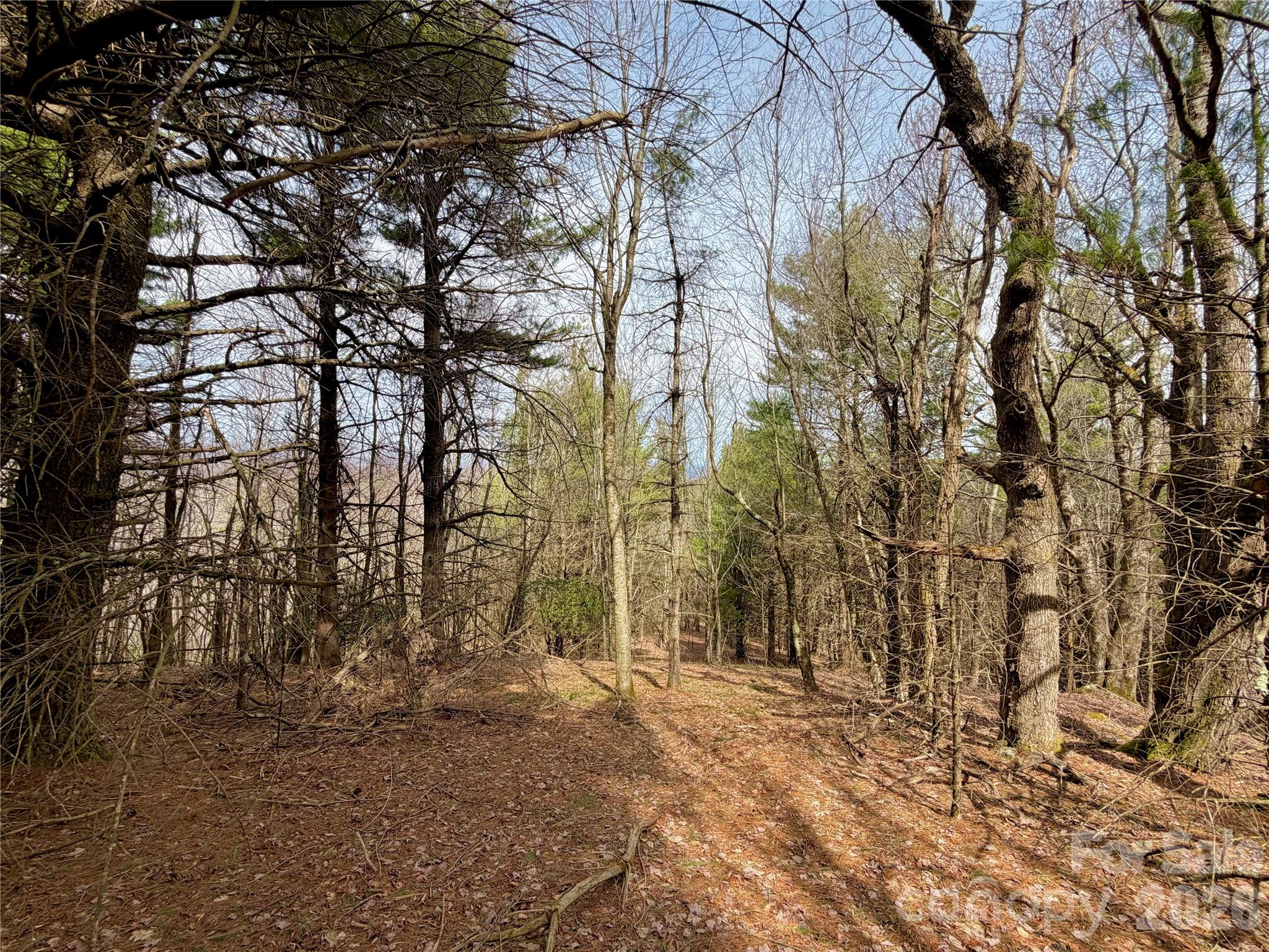 Tbd Grandview Drive, Unit TRACT A Boone, NC 28607 - Photo 22 of 45