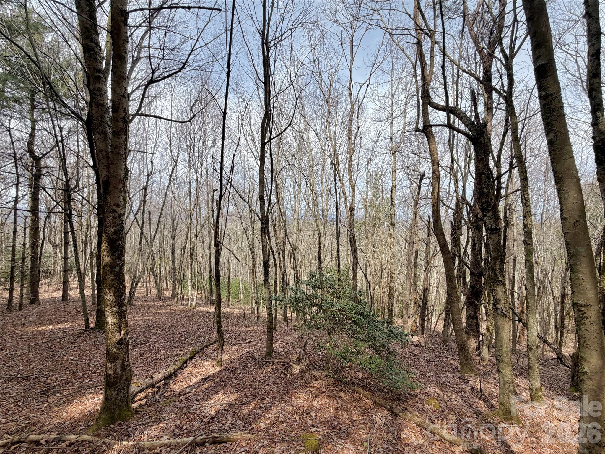 Tbd Grandview Drive, Unit TRACT A Boone, NC 28607 - Photo 22 of 44