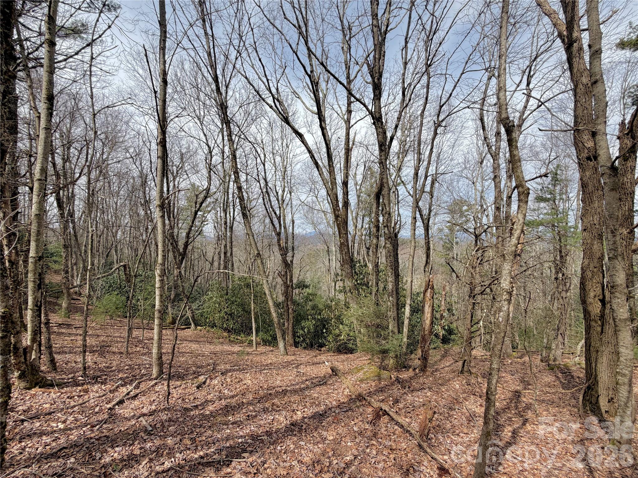 Tbd Grandview Drive, Unit TRACT A Boone, NC 28607 - Photo 23 of 44