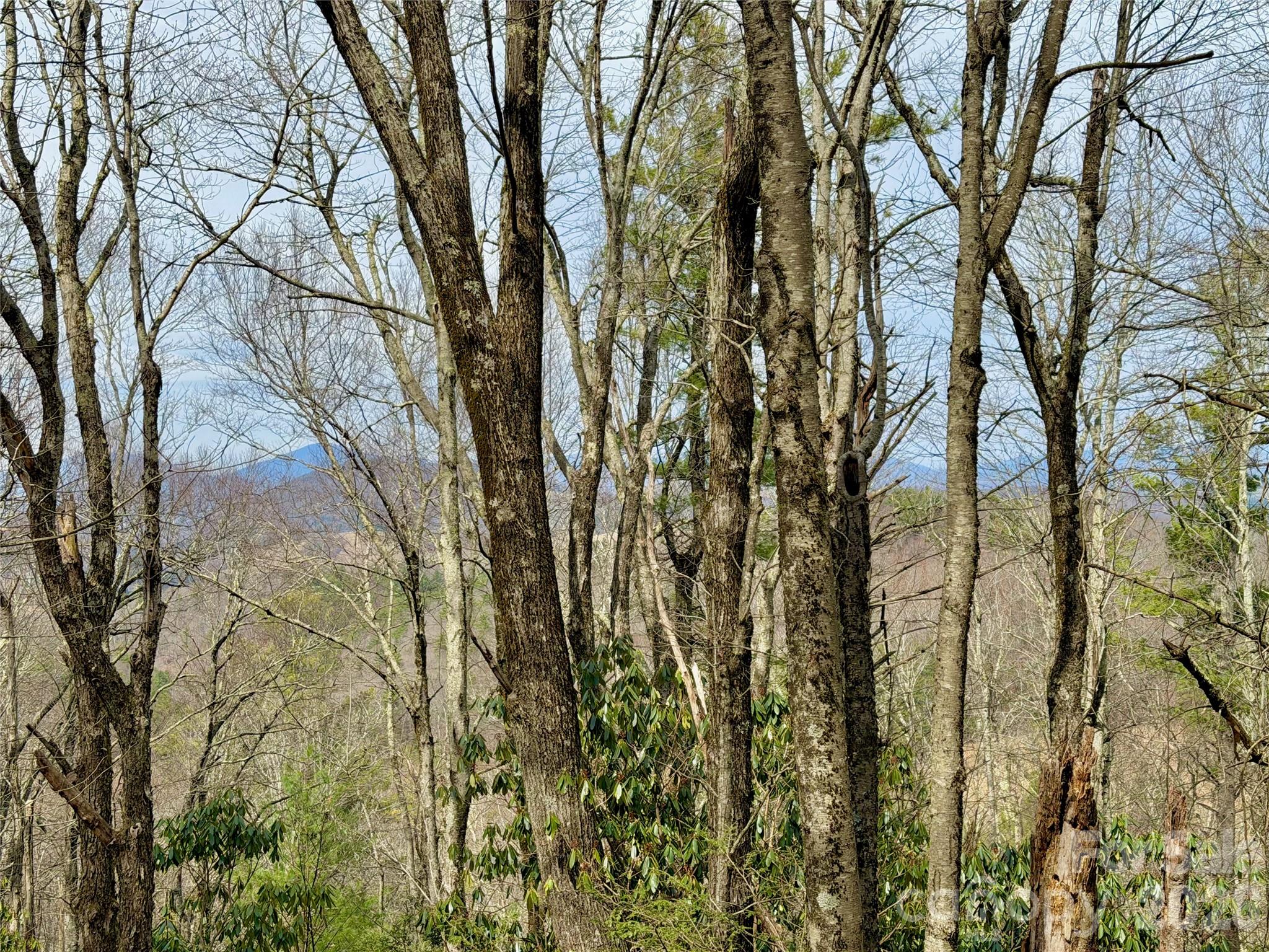 Tbd Grandview Drive, Unit TRACT A Boone, NC 28607 - Photo 25 of 45