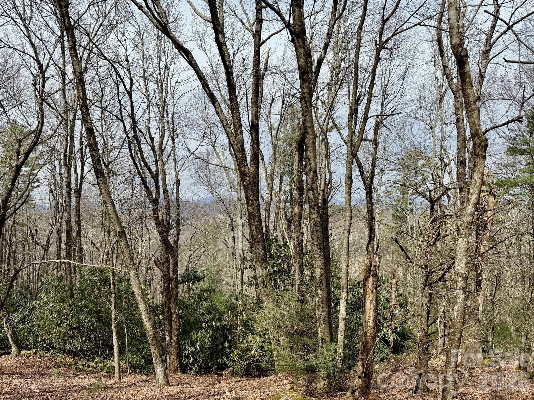 Tbd Grandview Drive, Unit TRACT A Boone, NC 28607 - Photo 25 of 44