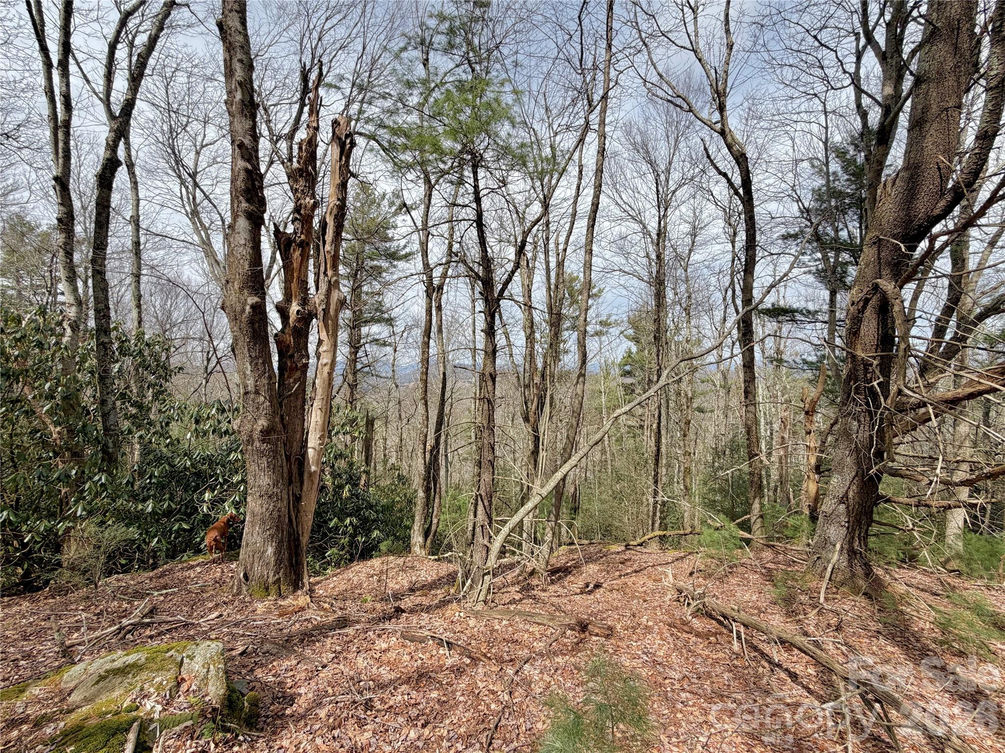 Tbd Grandview Drive, Unit TRACT A Boone, NC 28607 - Photo 27 of 45