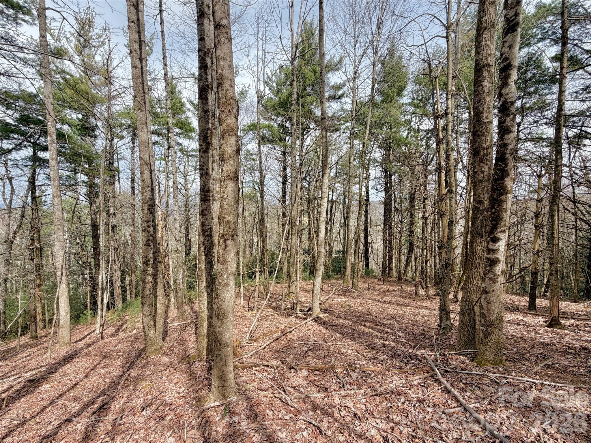 Tbd Grandview Drive, Unit TRACT A Boone, NC 28607 - Photo 28 of 45