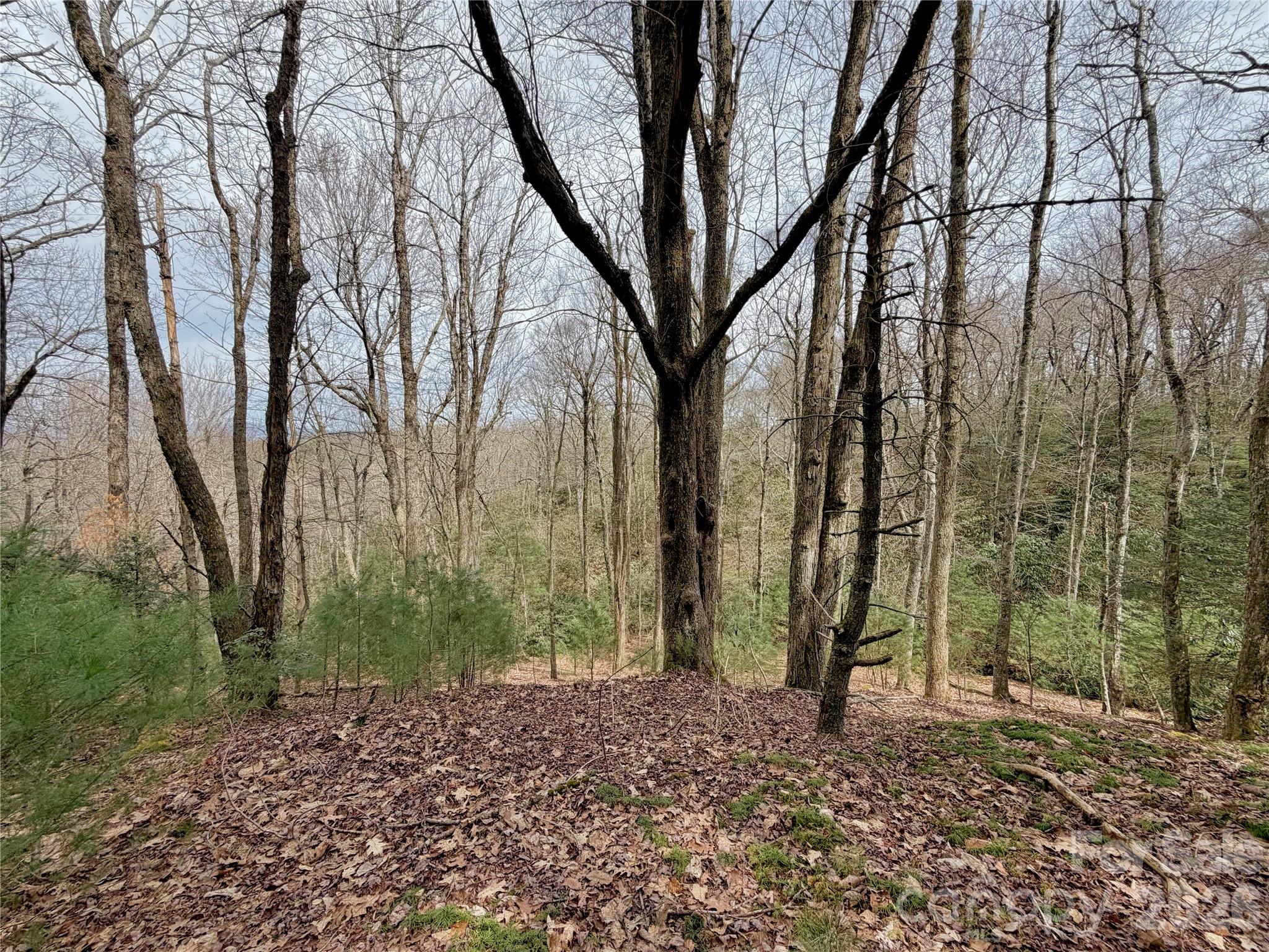 Tbd Grandview Drive, Unit TRACT A Boone, NC 28607 - Photo 29 of 45