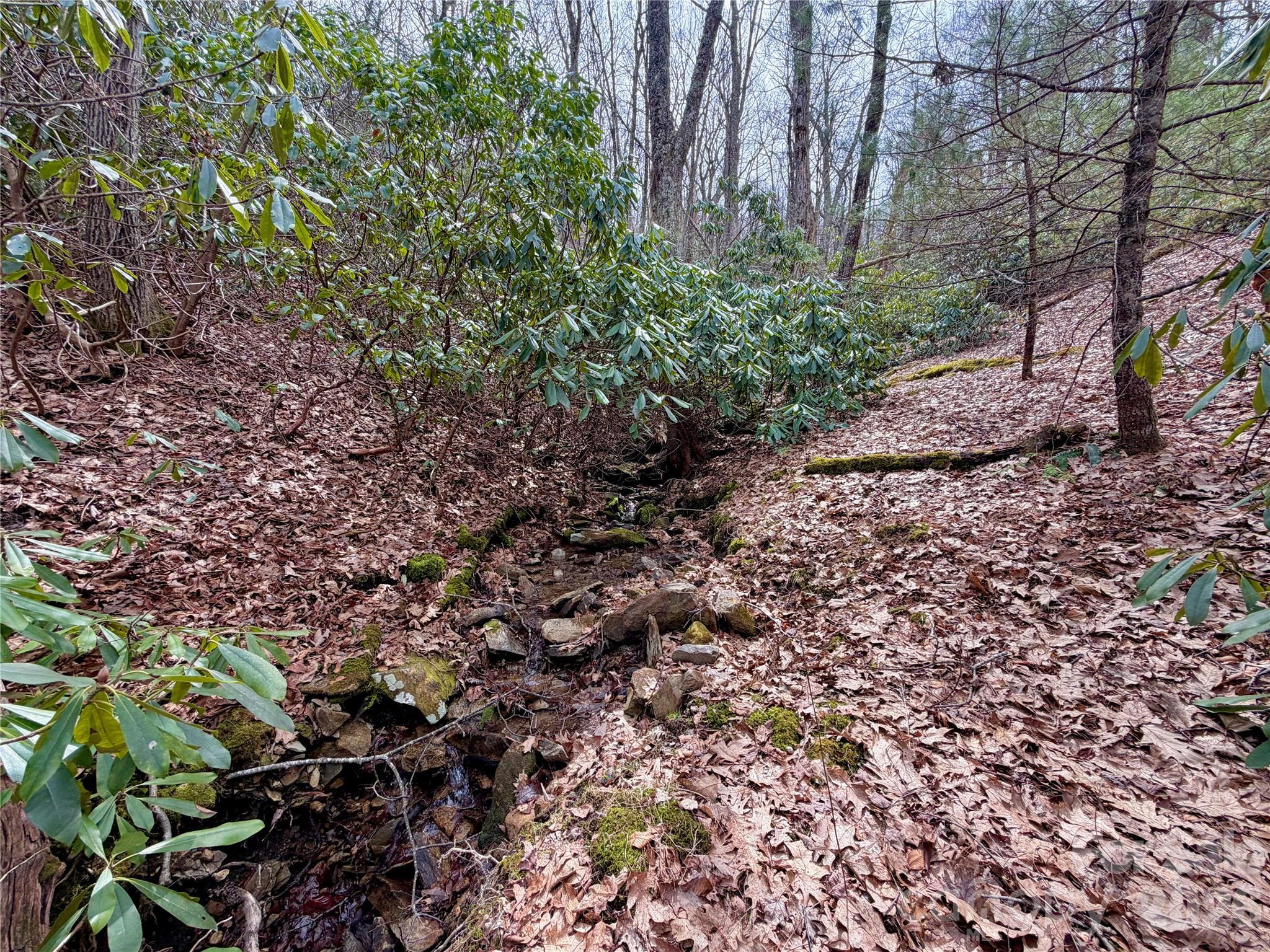 Tbd Grandview Drive, Unit TRACT A Boone, NC 28607 - Photo 30 of 45