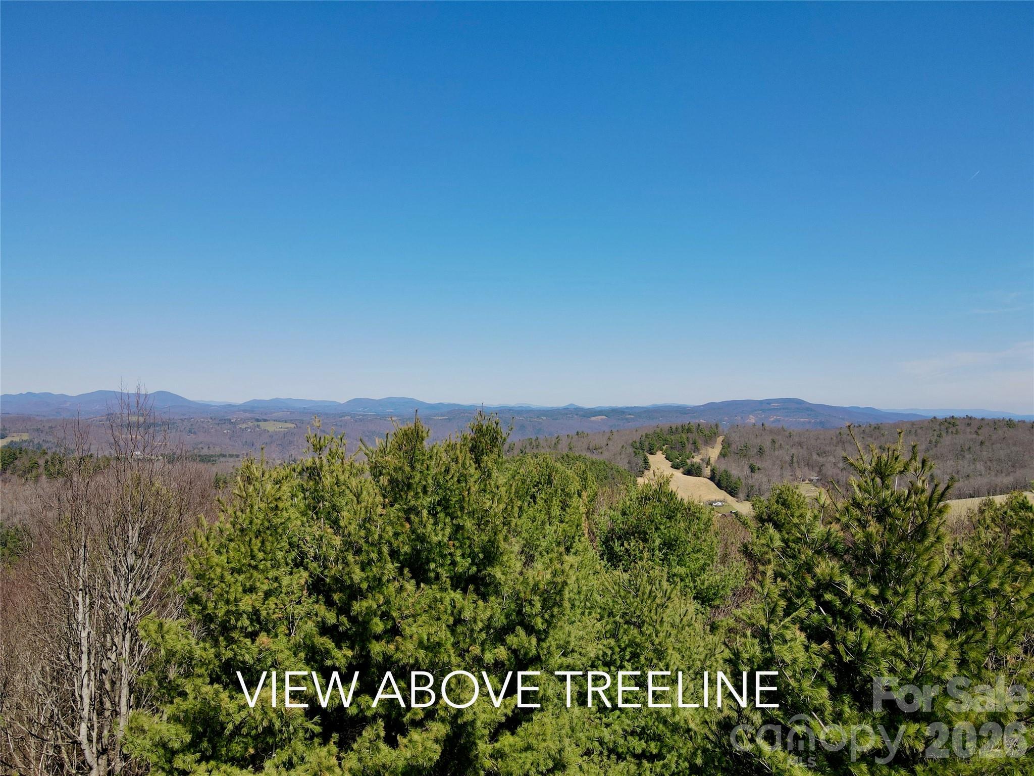 Tbd Grandview Drive, Unit TRACT A Boone, NC 28607 - Photo 3 of 44