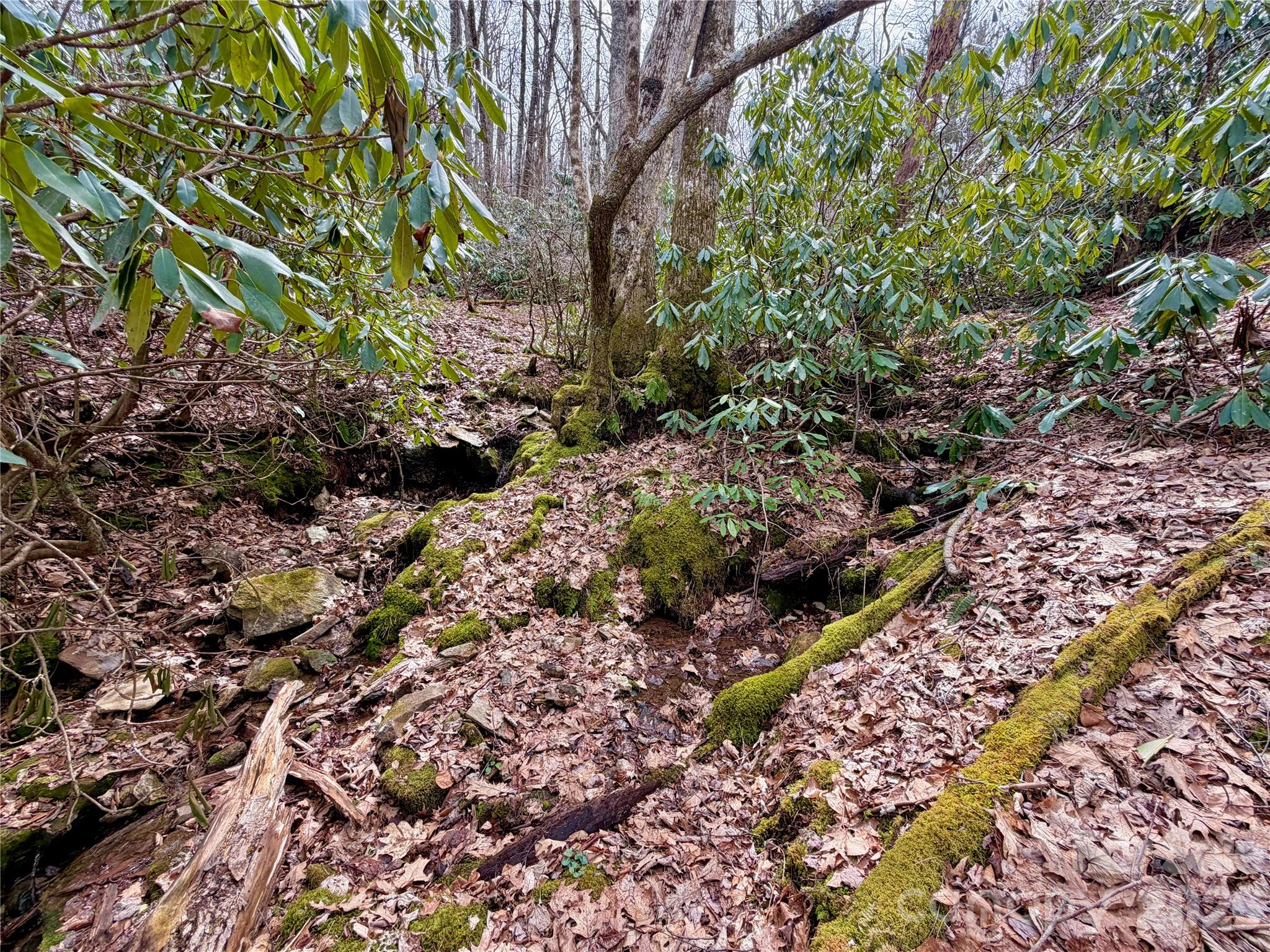 Tbd Grandview Drive, Unit TRACT A Boone, NC 28607 - Photo 31 of 45
