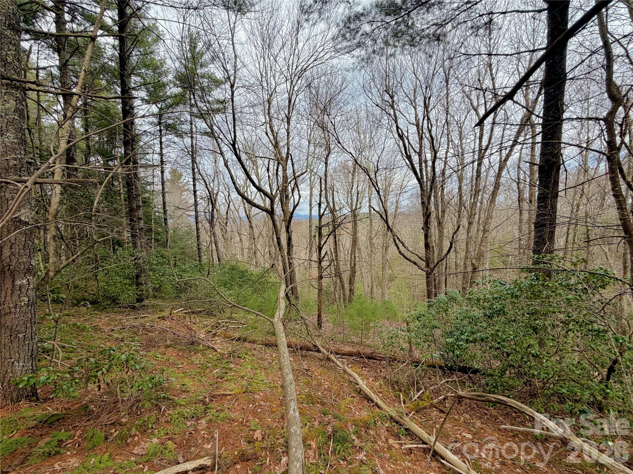 Tbd Grandview Drive, Unit TRACT A Boone, NC 28607 - Photo 32 of 45