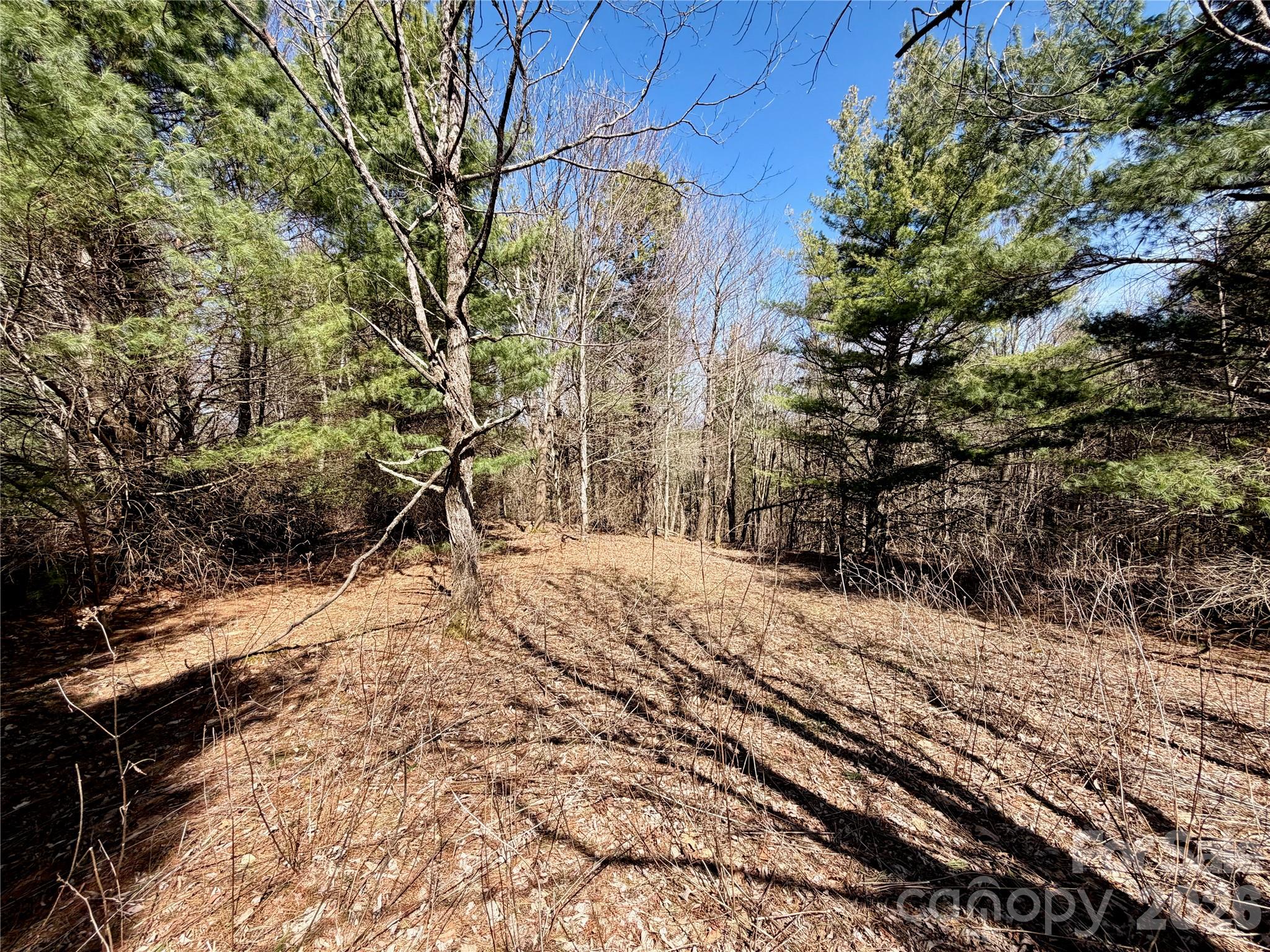 Tbd Grandview Drive, Unit TRACT A Boone, NC 28607 - Photo 34 of 44