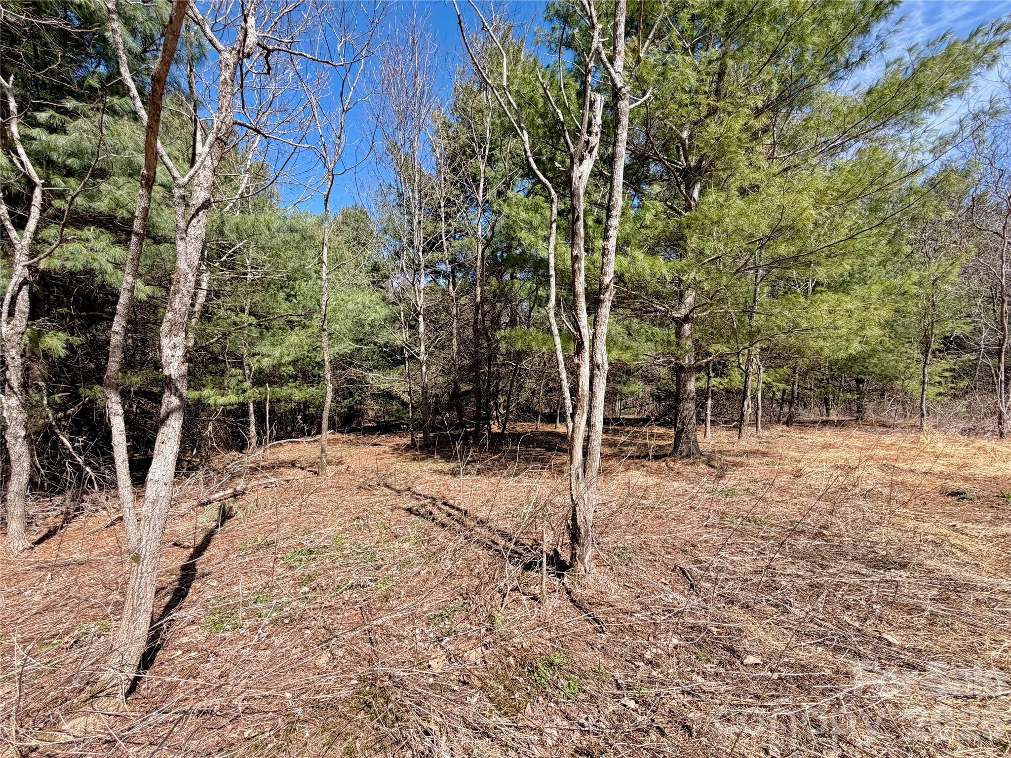 Tbd Grandview Drive, Unit TRACT A Boone, NC 28607 - Photo 34 of 45