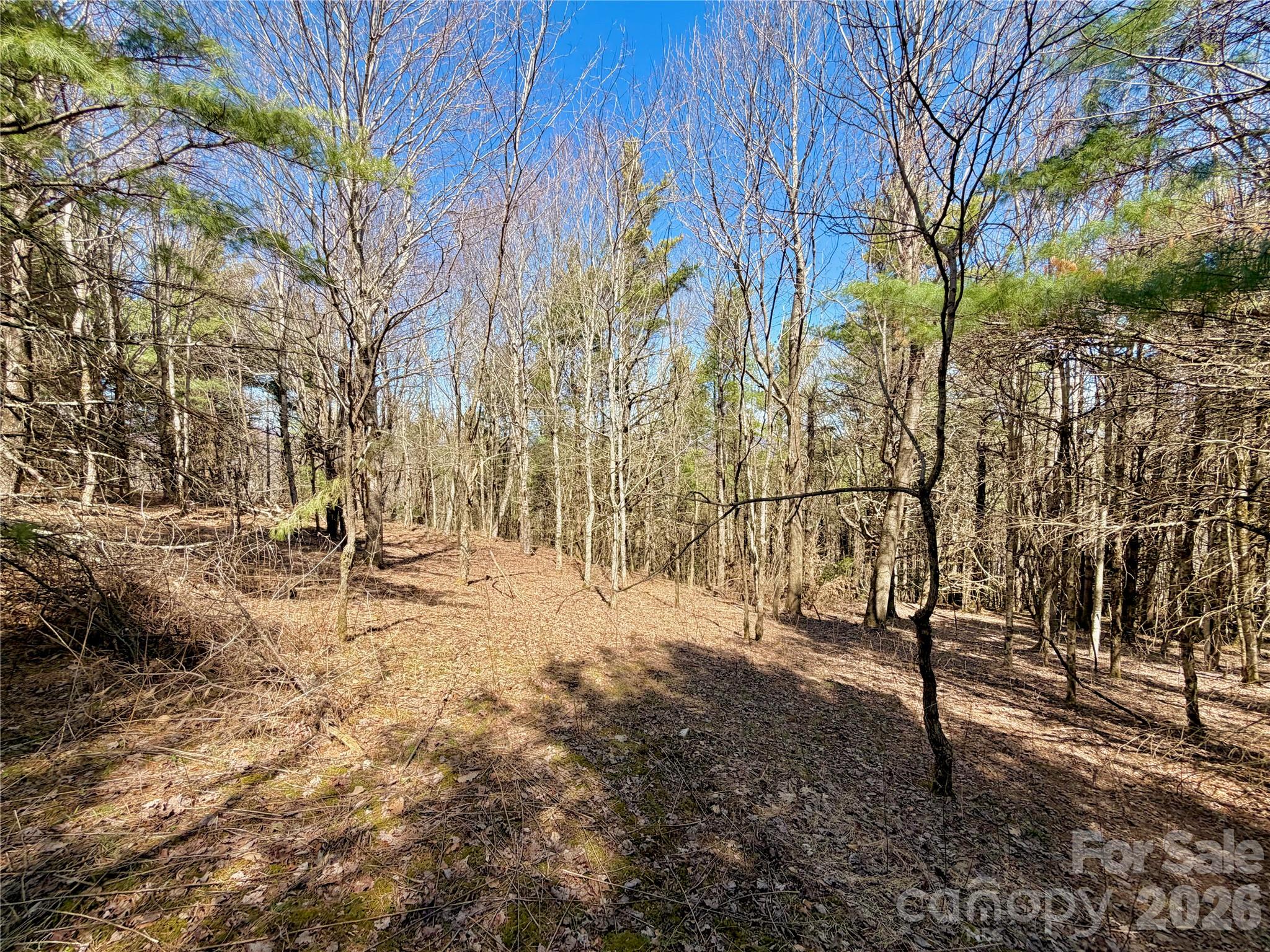 Tbd Grandview Drive, Unit TRACT A Boone, NC 28607 - Photo 36 of 45