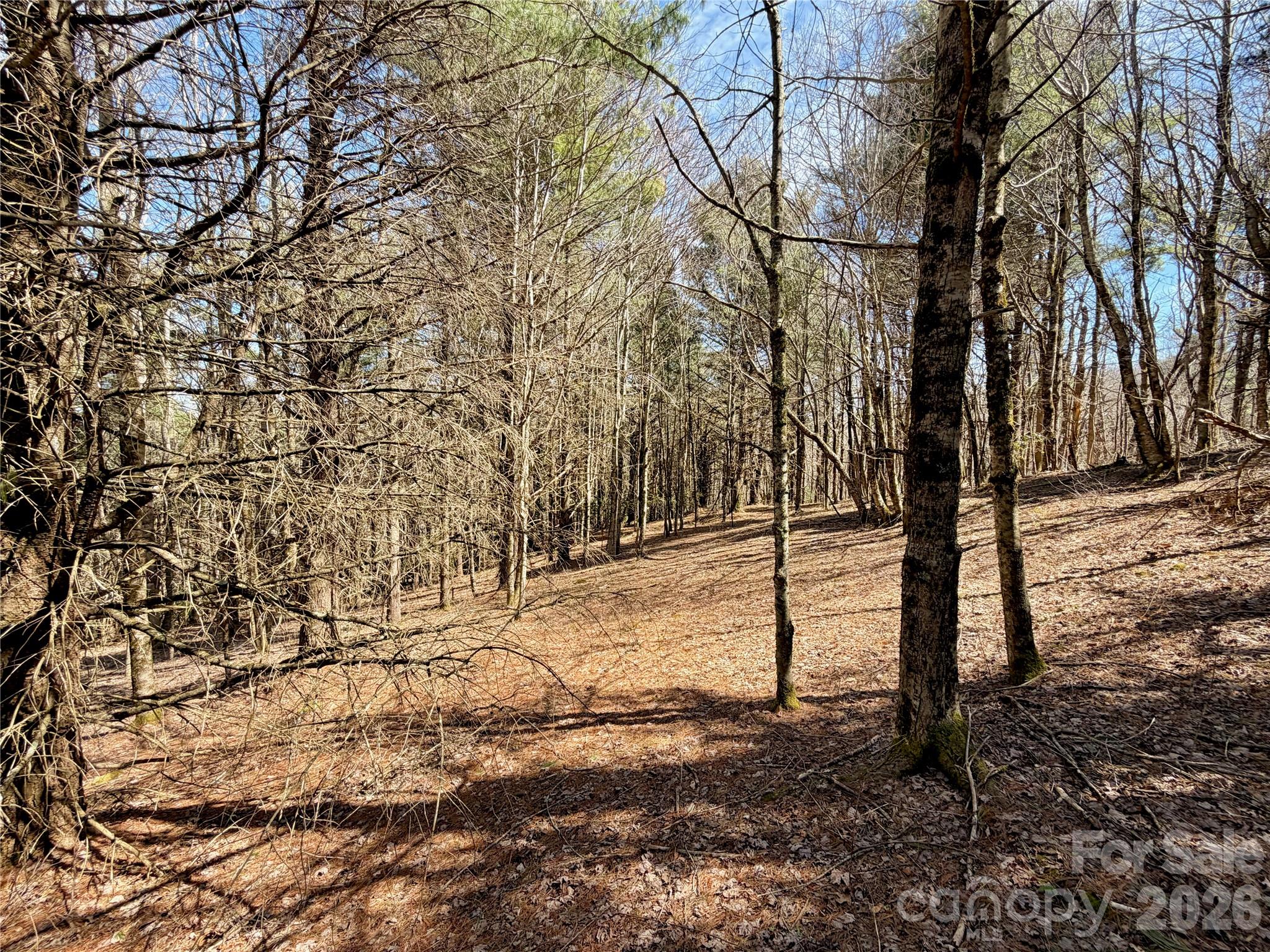 Tbd Grandview Drive, Unit TRACT A Boone, NC 28607 - Photo 37 of 45