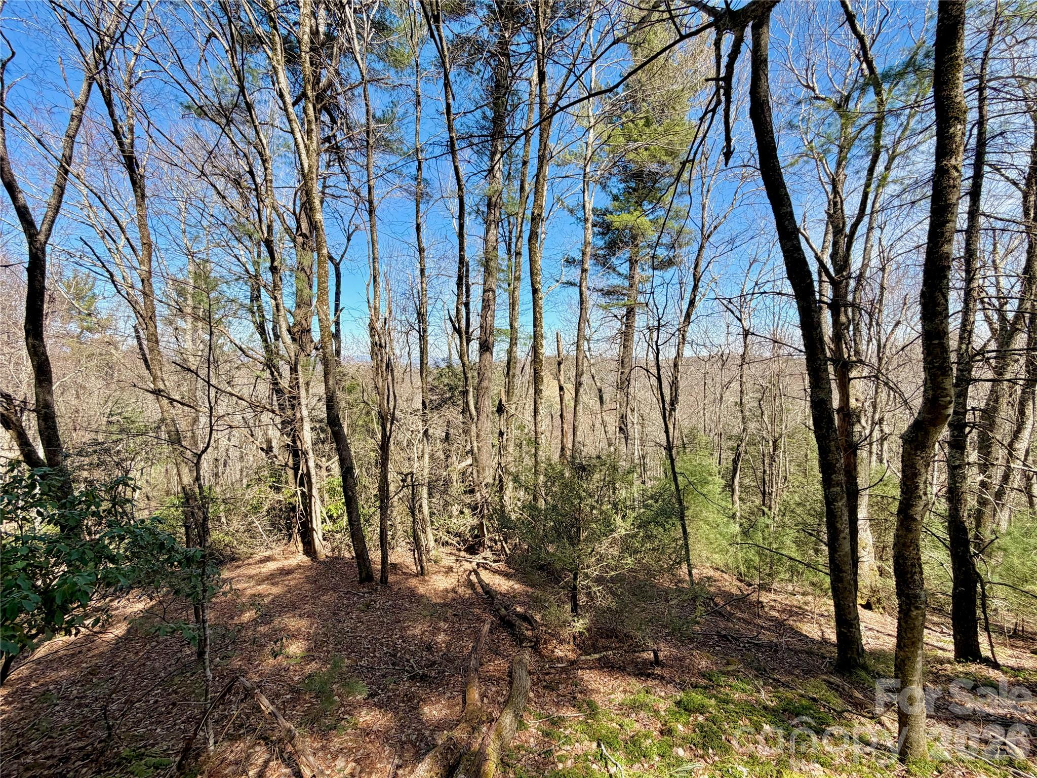 Tbd Grandview Drive, Unit TRACT A Boone, NC 28607 - Photo 38 of 45
