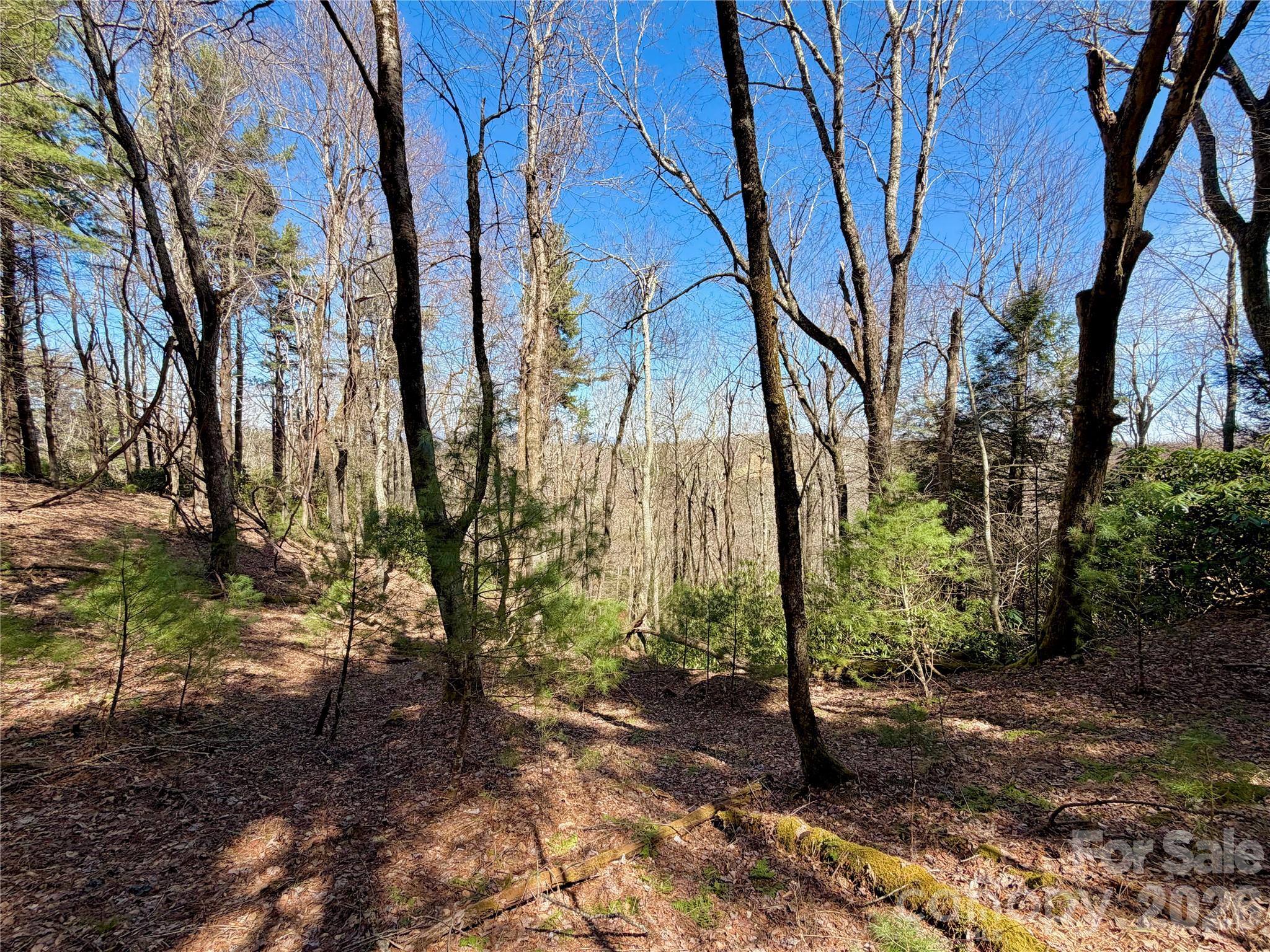 Tbd Grandview Drive, Unit TRACT A Boone, NC 28607 - Photo 39 of 45