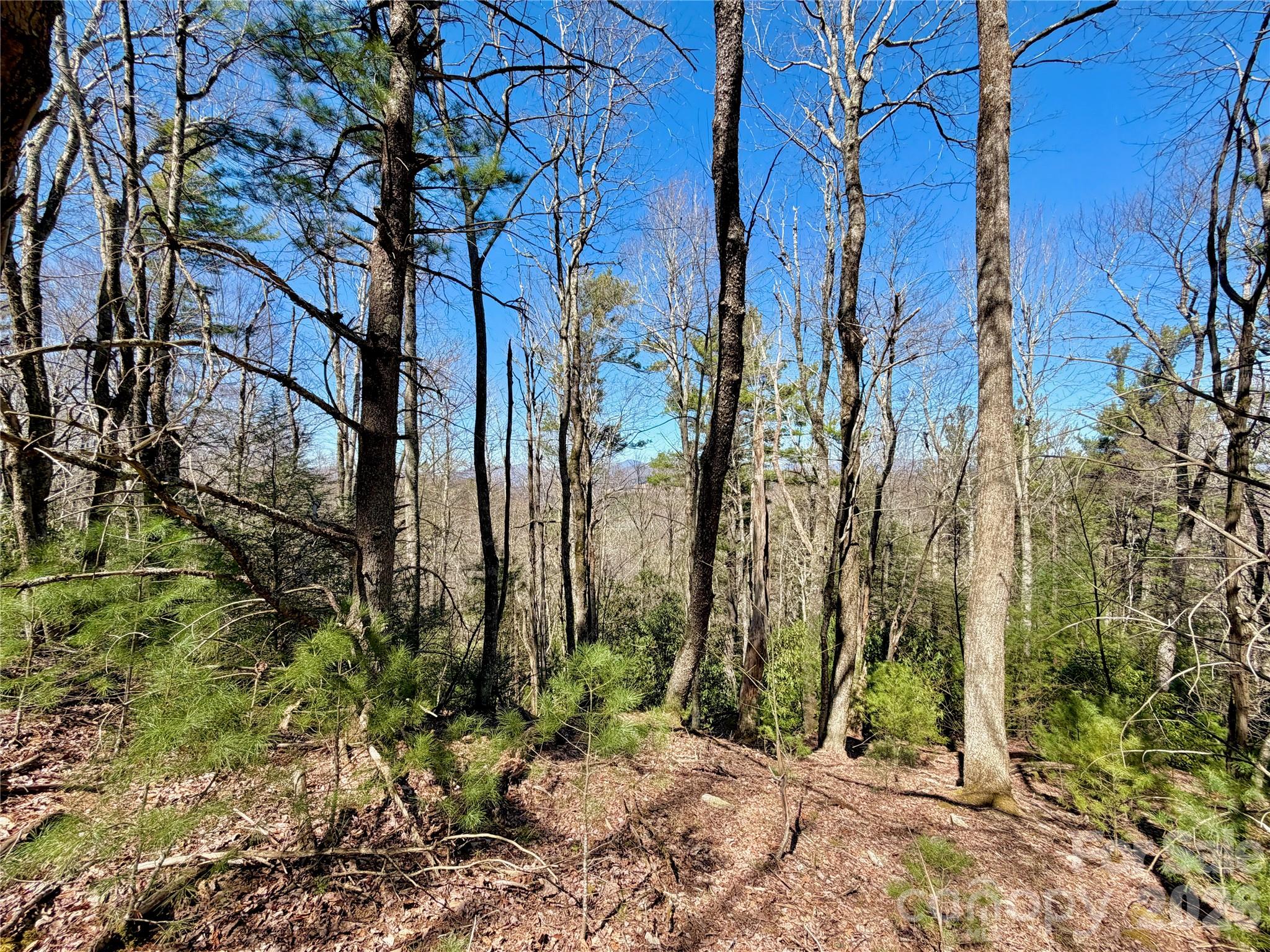 Tbd Grandview Drive, Unit TRACT A Boone, NC 28607 - Photo 39 of 44