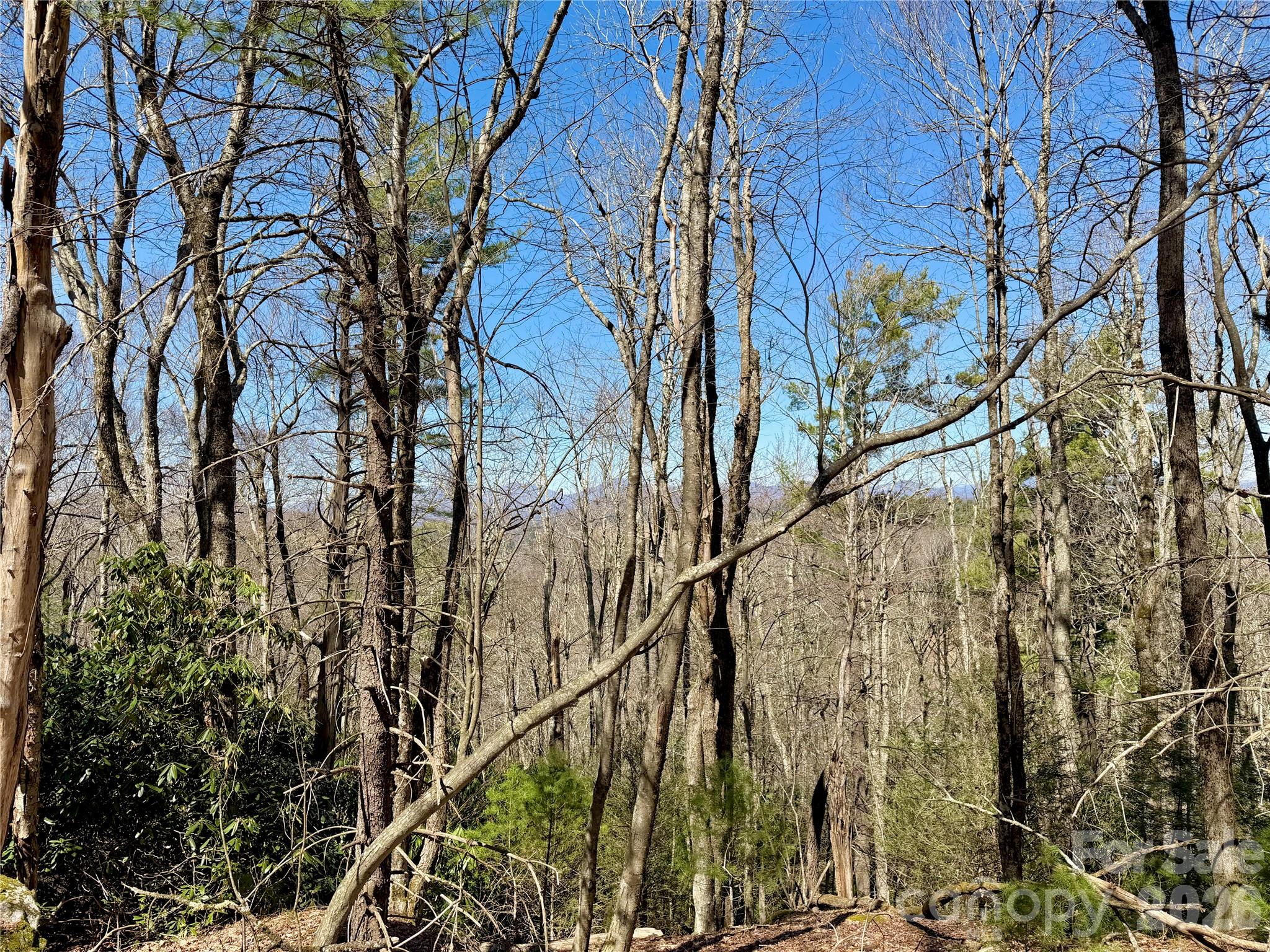 Tbd Grandview Drive, Unit TRACT A Boone, NC 28607 - Photo 41 of 45
