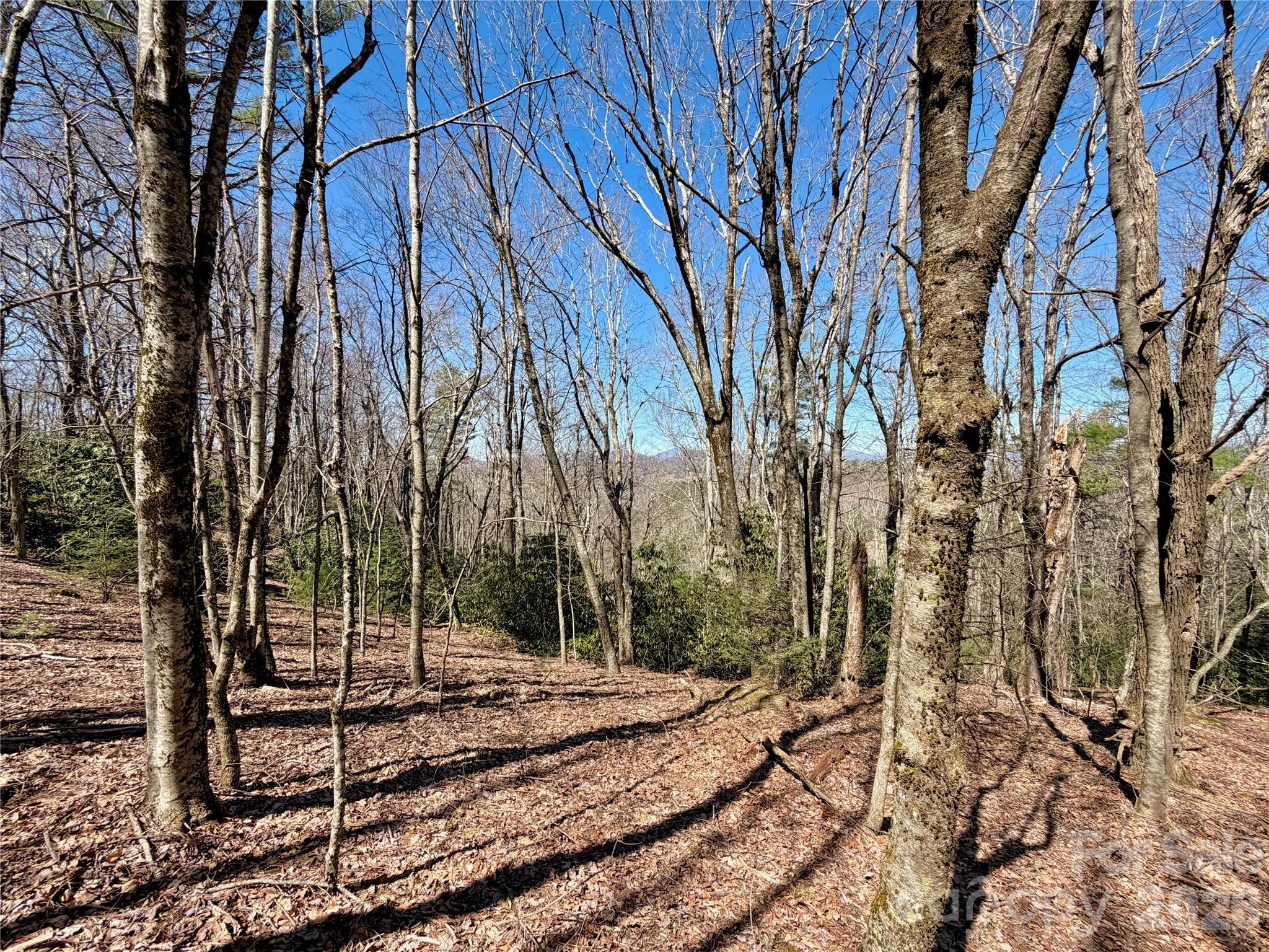 Tbd Grandview Drive, Unit TRACT A Boone, NC 28607 - Photo 41 of 44