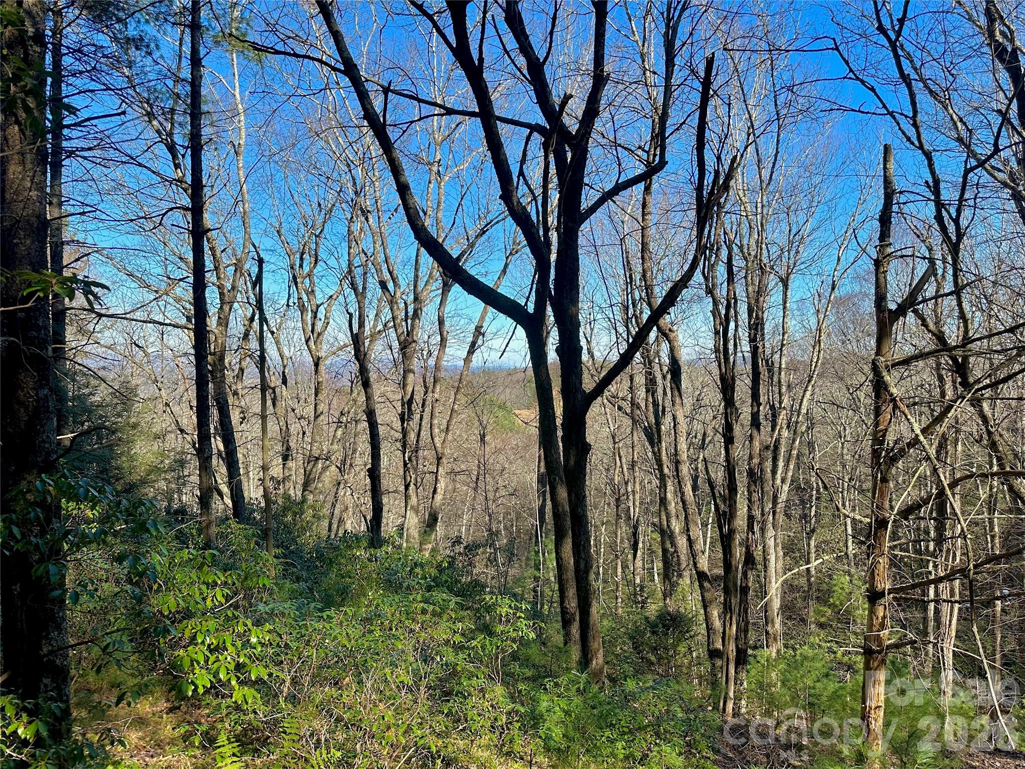 Tbd Grandview Drive, Unit TRACT A Boone, NC 28607 - Photo 43 of 45