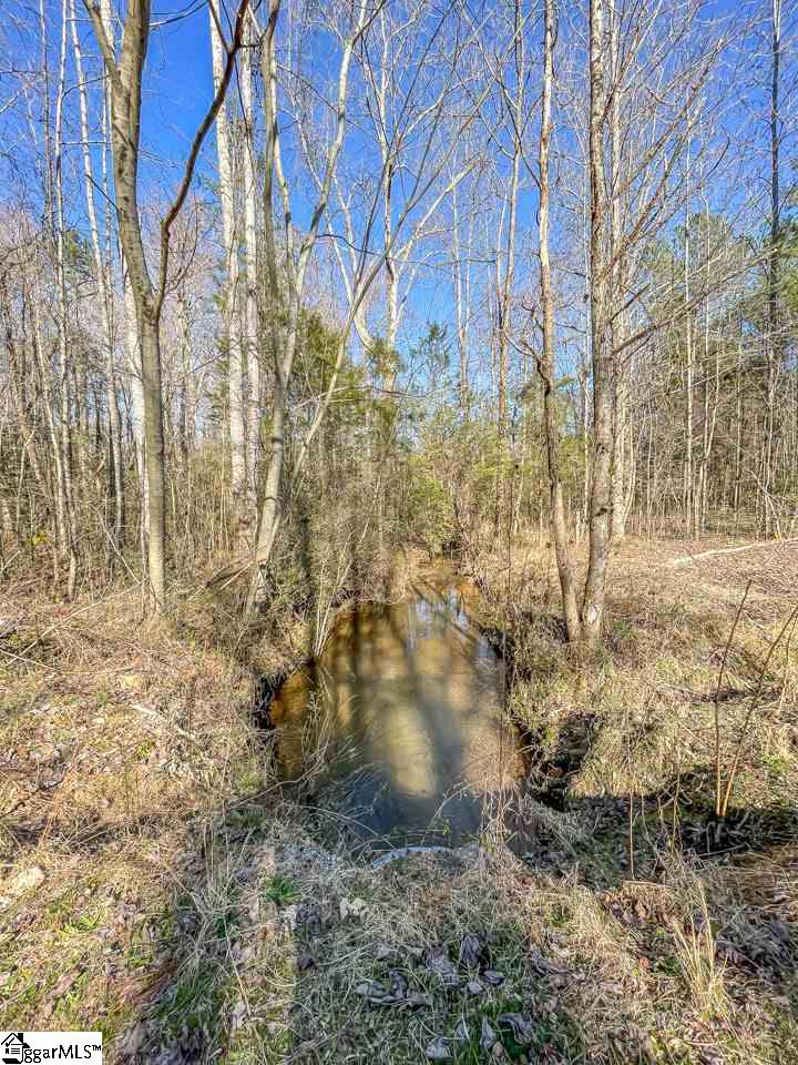 2017 Reece Mill Road Pickens, SC 29671 - Photo 26 of 26 Gallery Image 26