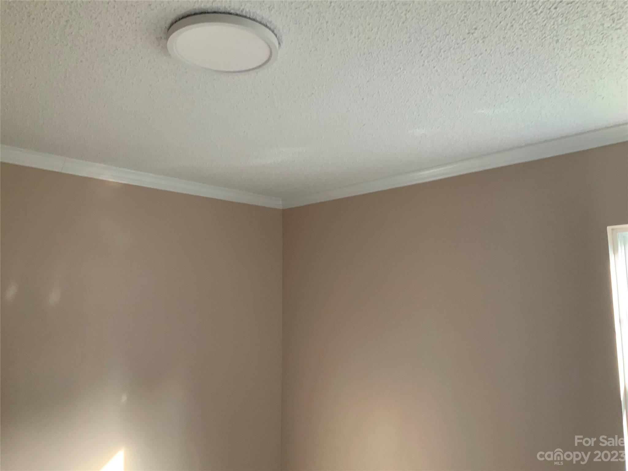 2240 Pace Road Hendersonville, NC 28792 - Photo 13 of 23