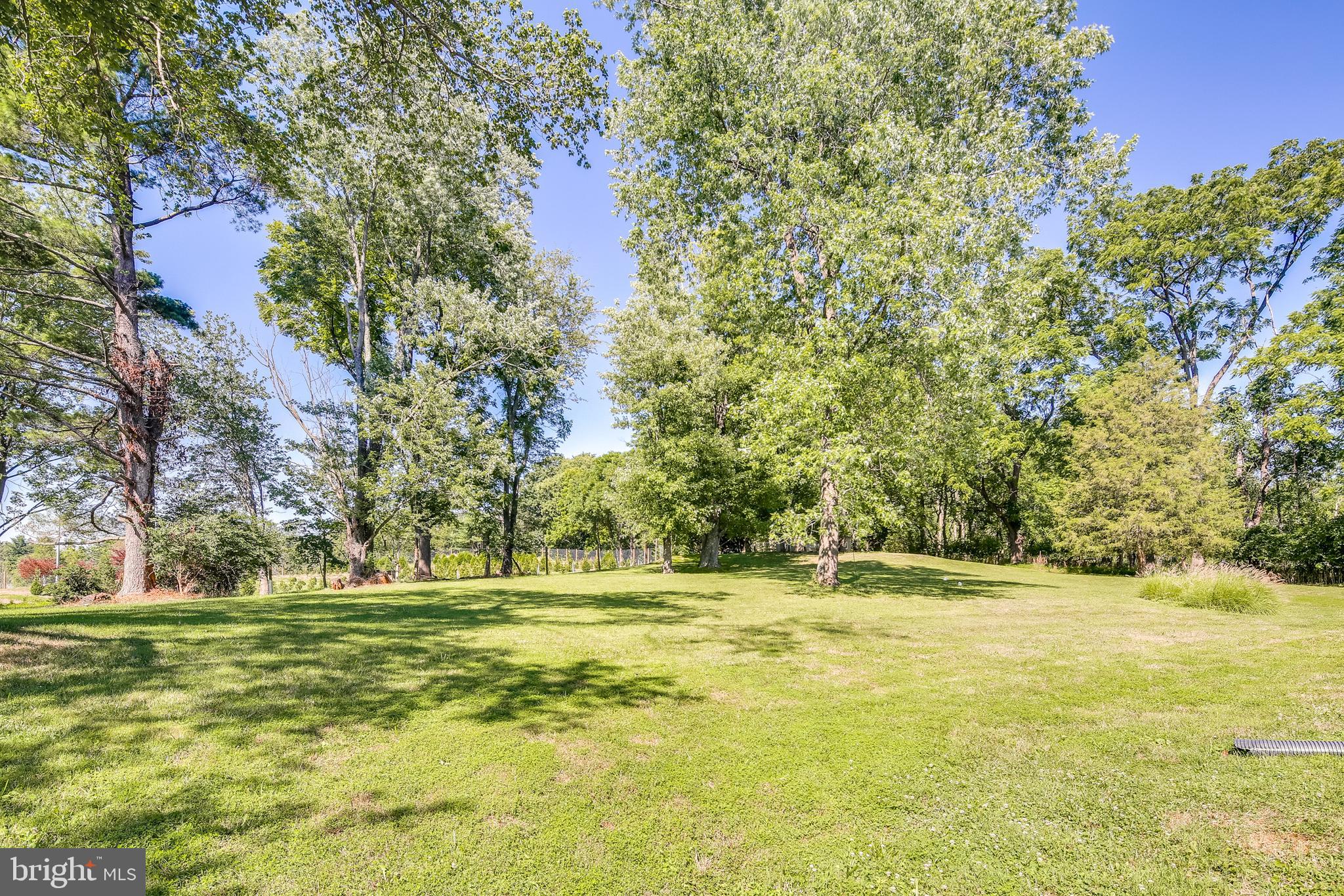 Lot (Rear)