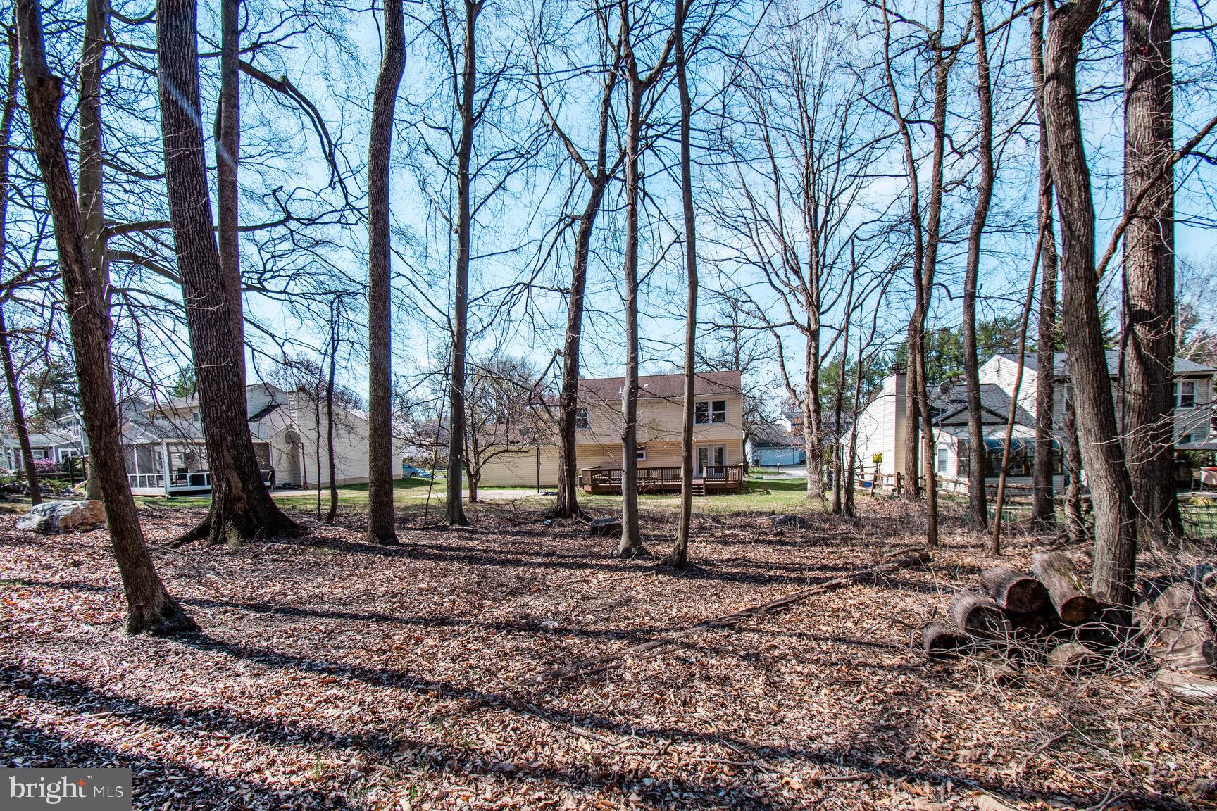 15320 Baileys Lane Silver Spring, MD 20906 - Photo 27 of 28 a backyard of a house with lots of green space