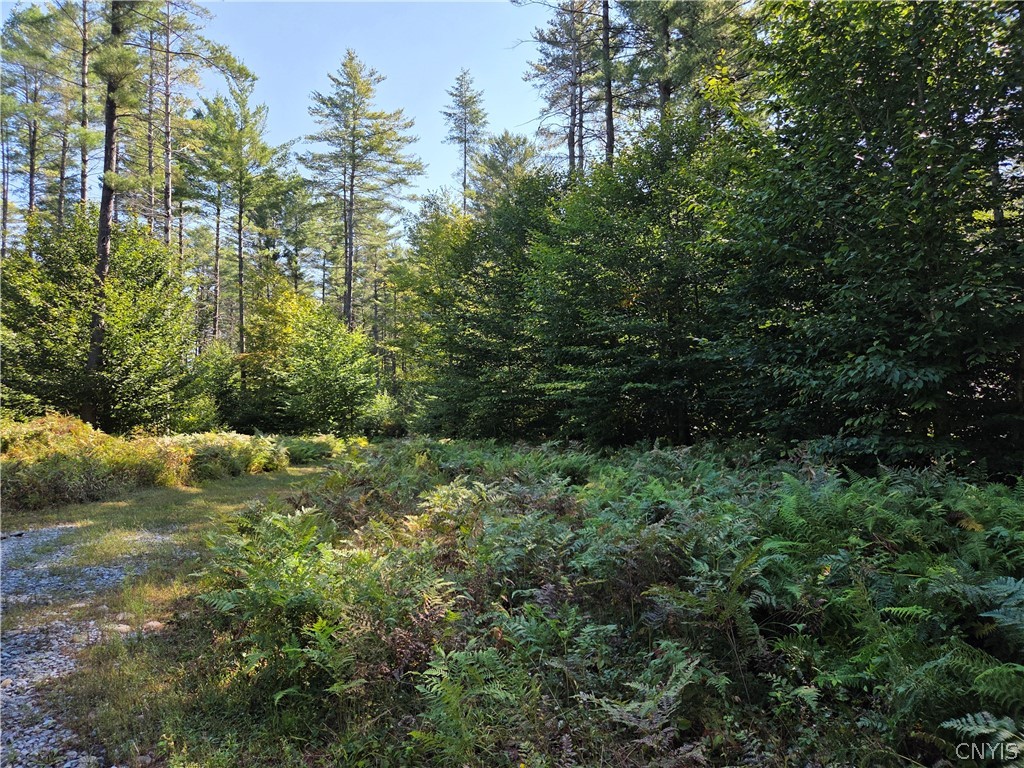 5566 Partridgeville Road Greig, NY 13312 - Photo 3 of 3