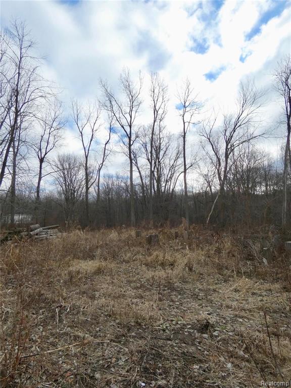 0 Kane Road Carleton, MI 48117 - Photo 8 of 8