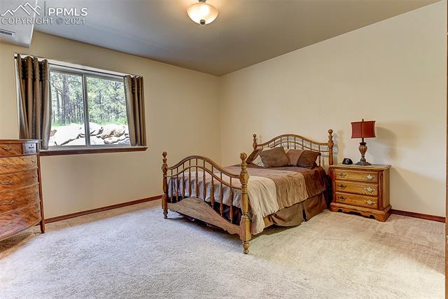 11227 Shaugnessy Road Colorado Springs, CO 80908 - Photo 39 of 50 Gallery Image 39