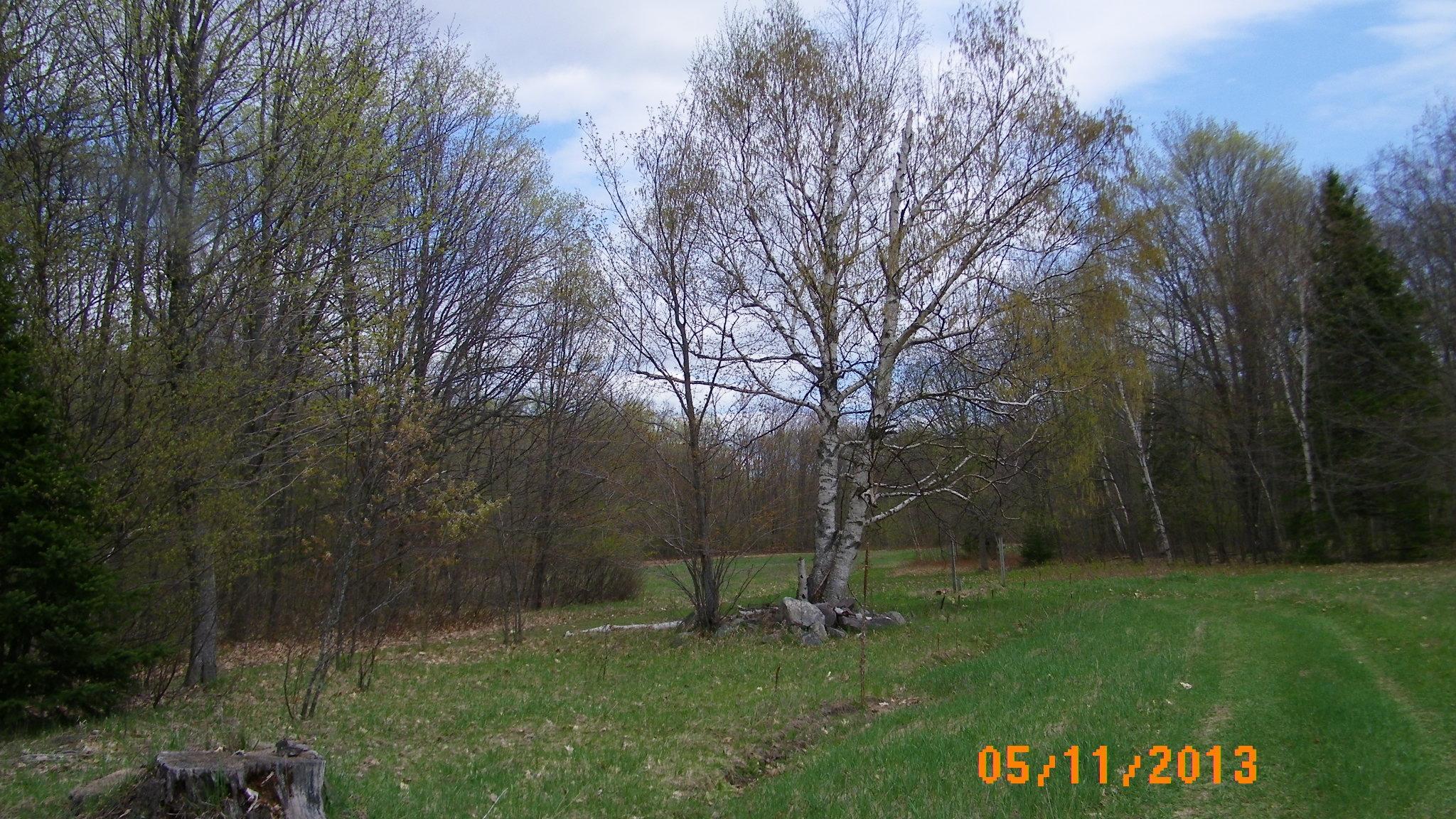 24701 South Fairview Road Pickford, MI 49774 - Photo 15 of 16 Gallery Image 15