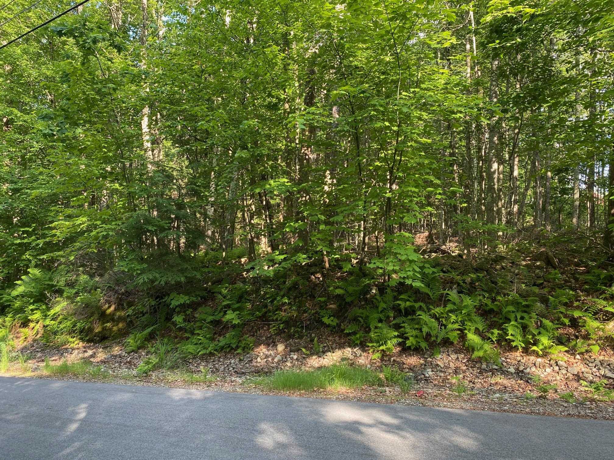 18-3 Mason Road Milton, NH 03851 - Photo 3 of 6